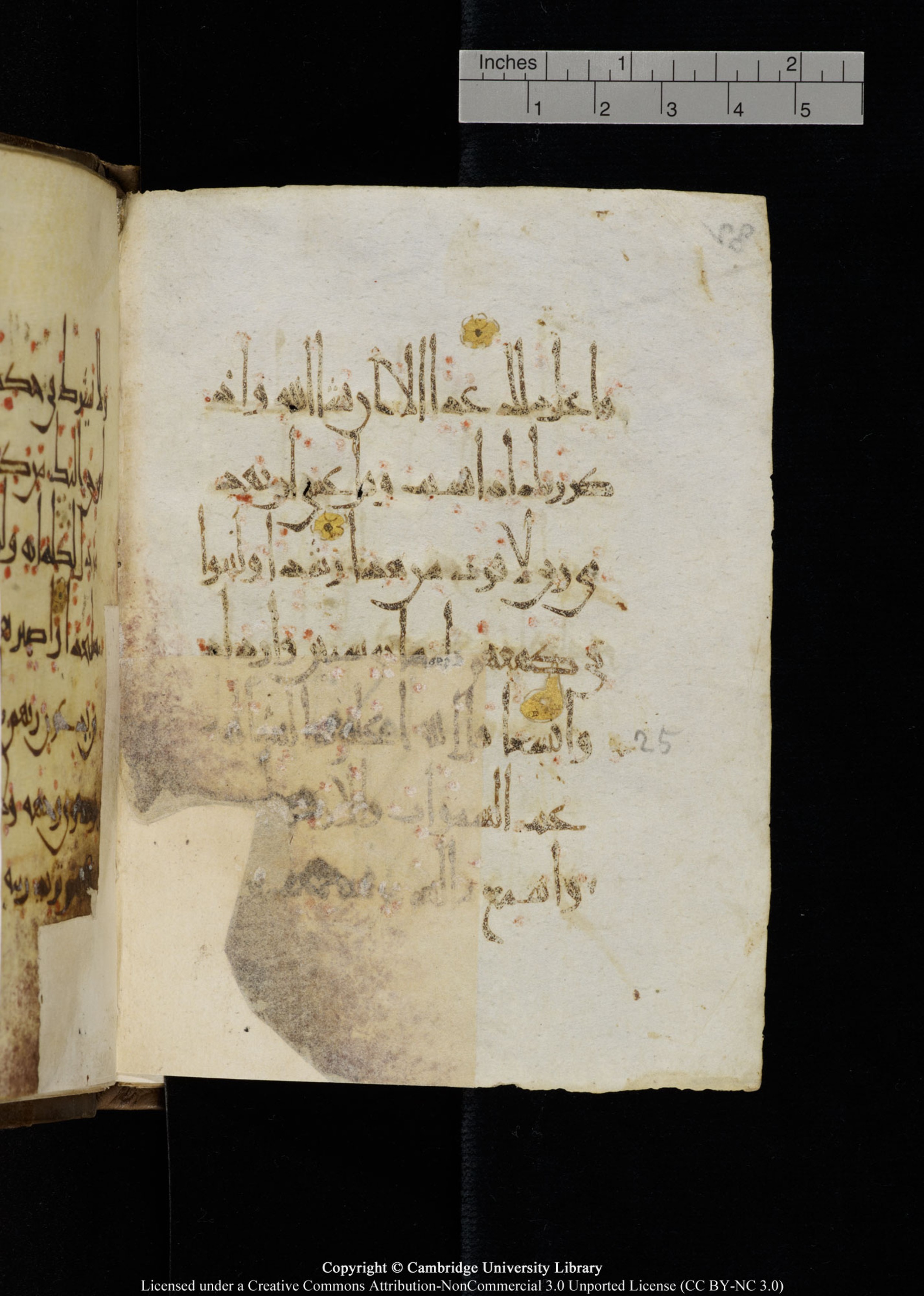 Cambridge, Cambridge University Library, MS Add.1134, in maġribī script, showing Surah 18:25 from 10th Century AD found in Sinai Peninsula, currently housed at Cambridge University Library, Cambridge