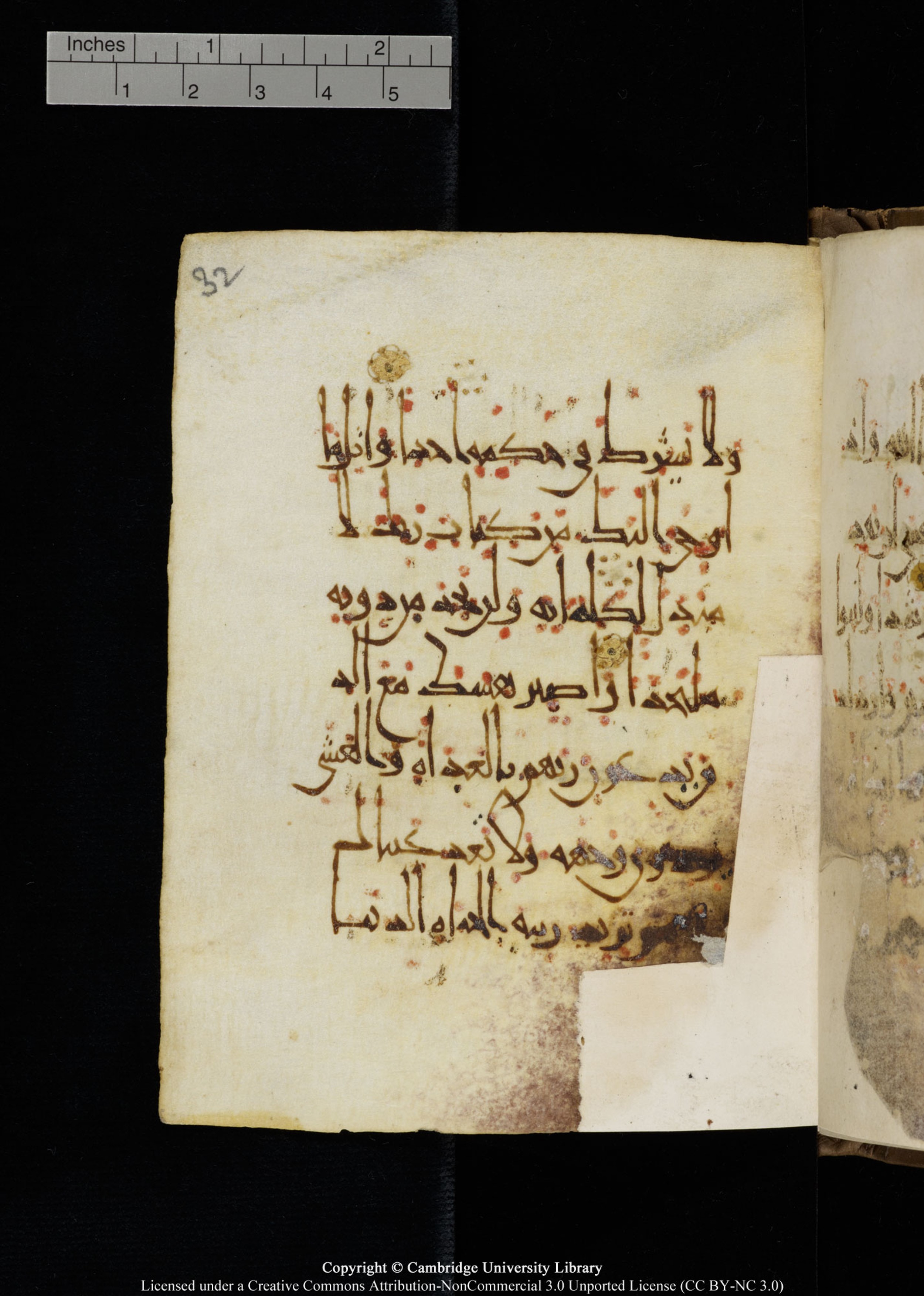 Cambridge, Cambridge University Library, MS Add.1134 (Scan 1), in maġribī script, showing Surah 18:28 from 10th Century AD found in Sinai Peninsula, currently housed at Cambridge University Library, Cambridge