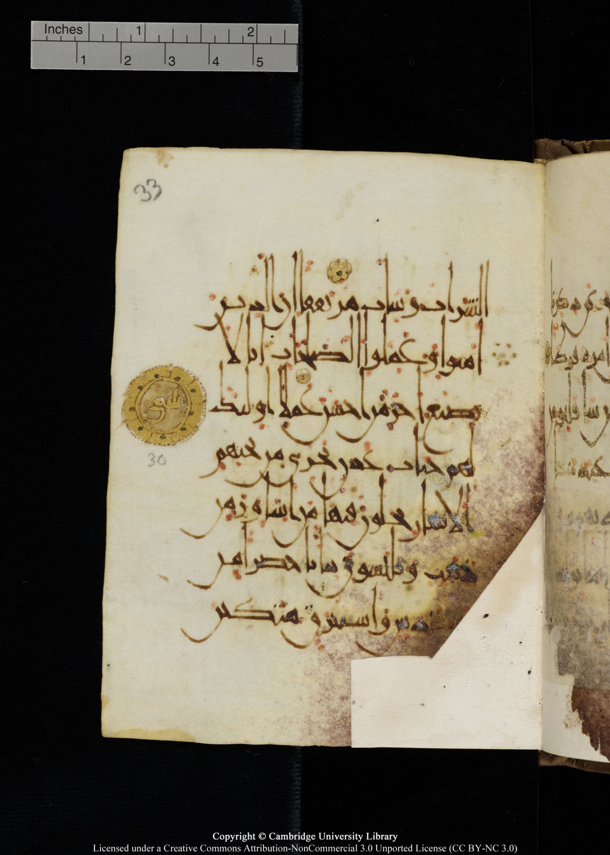 Cambridge, Cambridge University Library, MS Add.1134 (Scan 2), in maġribī script, showing Surah 18:29 from 10th Century AD found in Sinai Peninsula, currently housed at Cambridge University Library, Cambridge