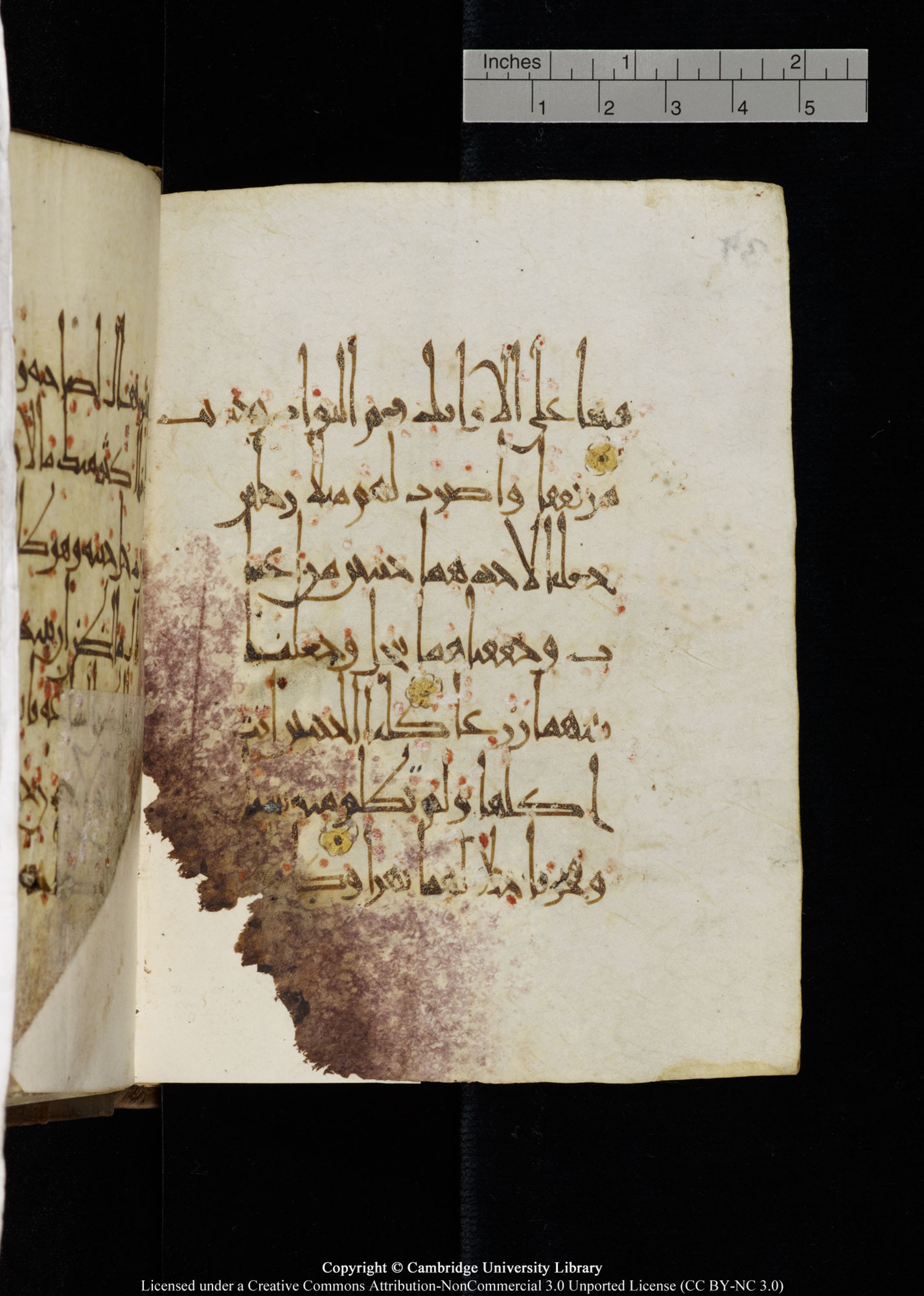 Cambridge, Cambridge University Library, MS Add.1134, in maġribī script, showing Surah 18:32 from 10th Century AD found in Sinai Peninsula, currently housed at Cambridge University Library, Cambridge