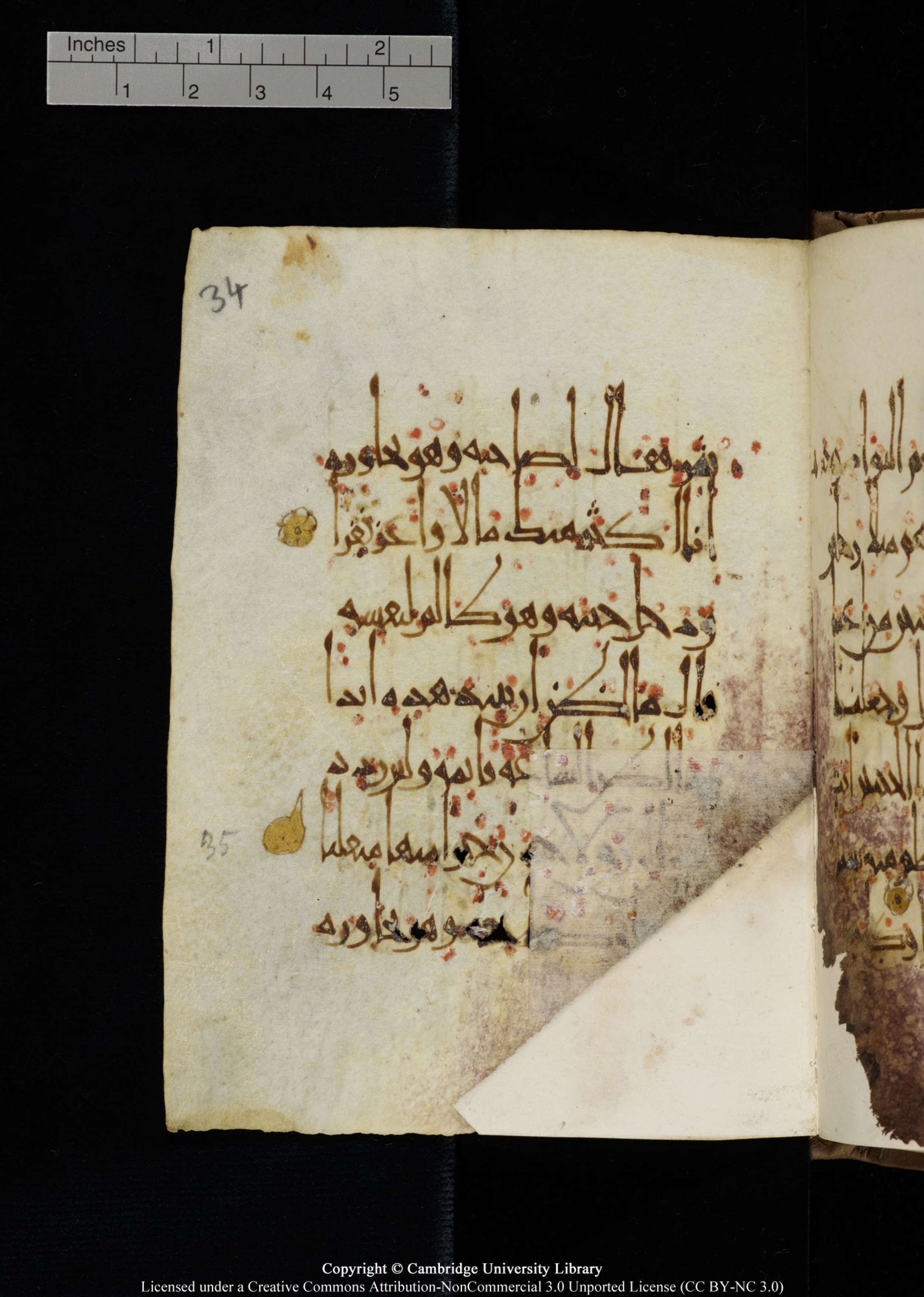 Cambridge, Cambridge University Library, MS Add.1134, in maġribī script, showing Surah 18:36 from 10th Century AD found in Sinai Peninsula, currently housed at Cambridge University Library, Cambridge