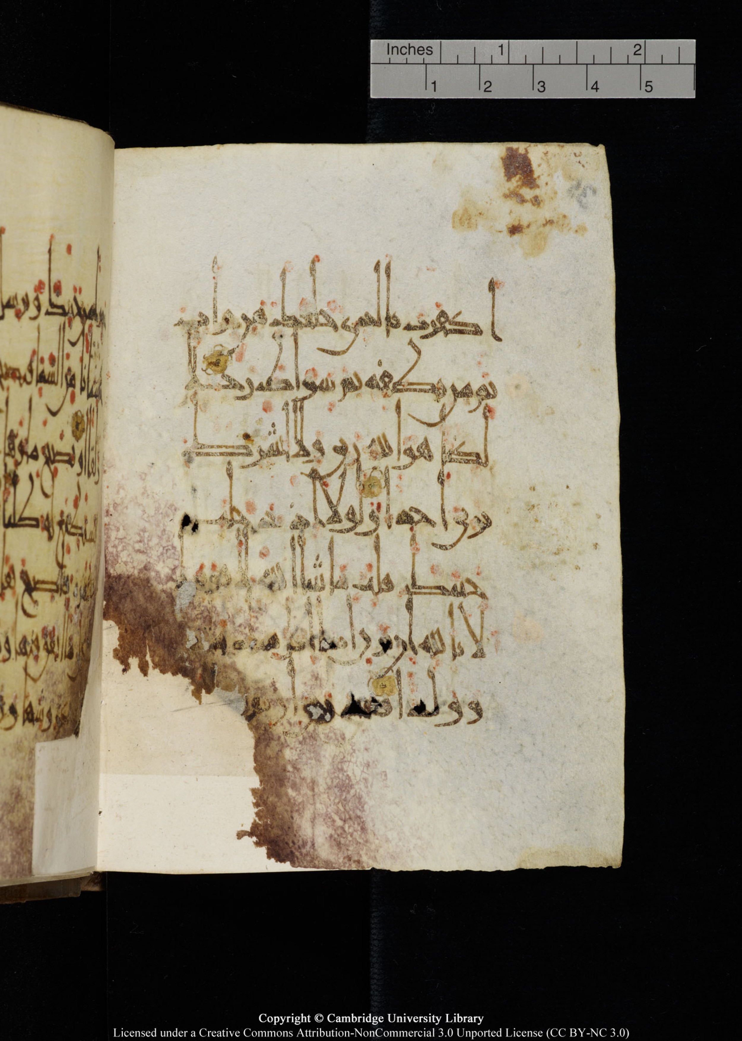Cambridge, Cambridge University Library, MS Add.1134, in maġribī script, showing Surah 18:39 from 10th Century AD found in Sinai Peninsula, currently housed at Cambridge University Library, Cambridge