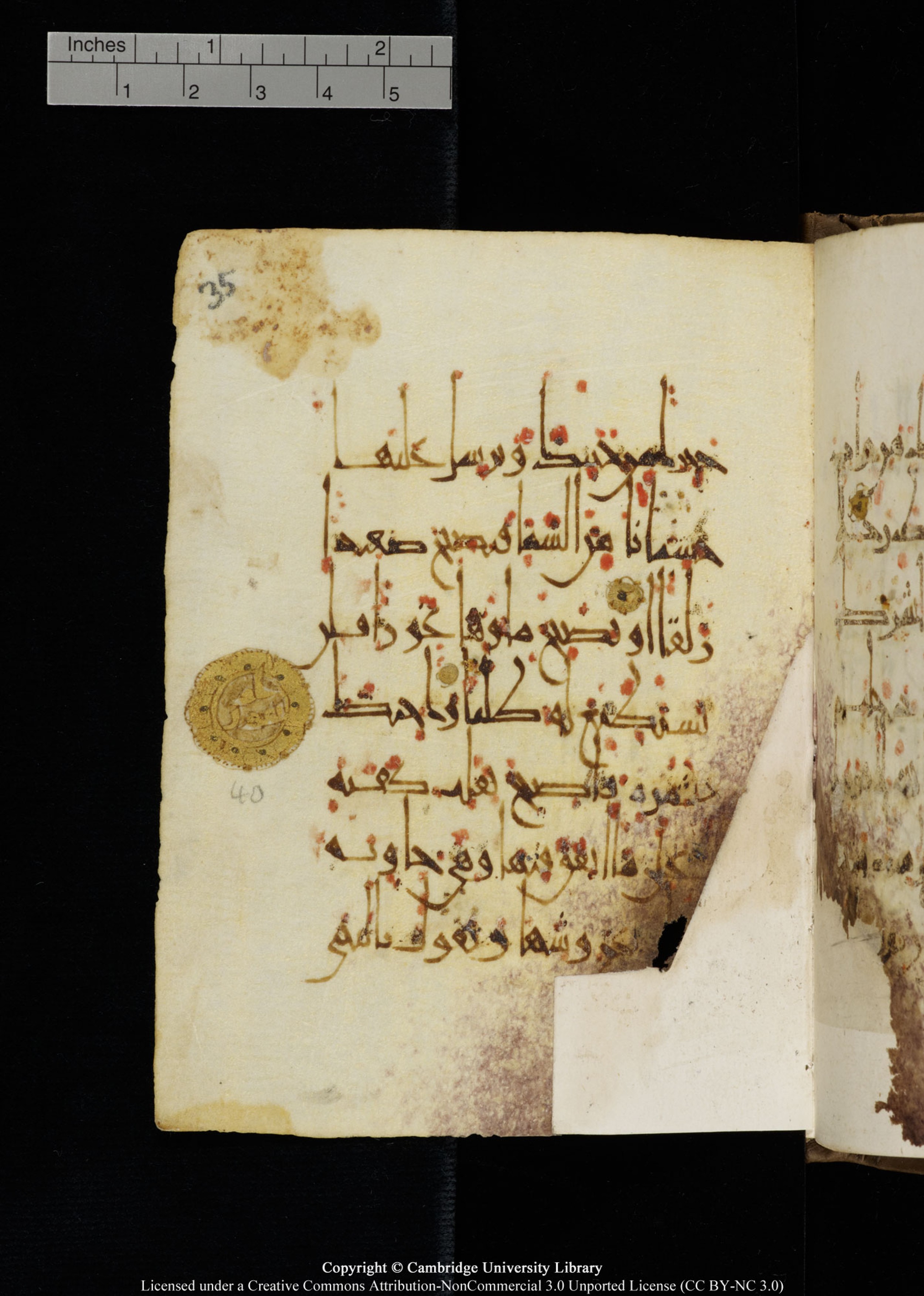 Cambridge, Cambridge University Library, MS Add.1134 (Scan 2), in maġribī script, showing Surah 18:40 from 10th Century AD found in Sinai Peninsula, currently housed at Cambridge University Library, Cambridge