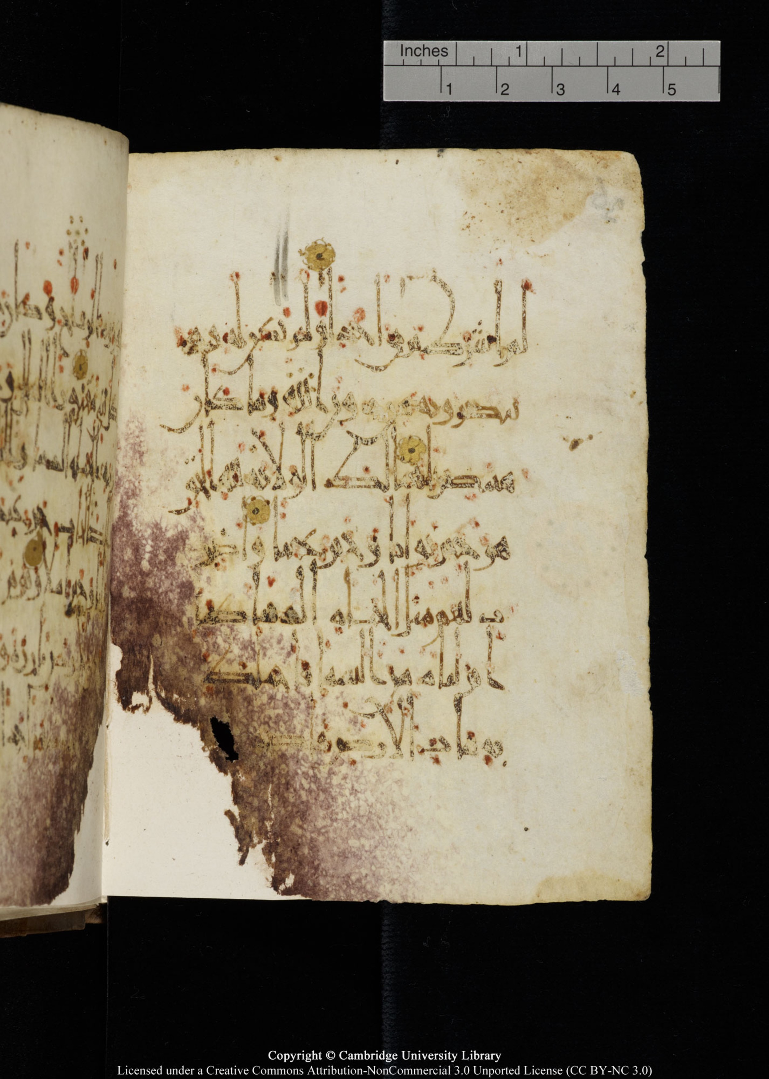 Cambridge, Cambridge University Library, MS Add.1134 (Scan 1), in maġribī script, showing Surah 18:45 from 10th Century AD found in Sinai Peninsula, currently housed at Cambridge University Library, Cambridge