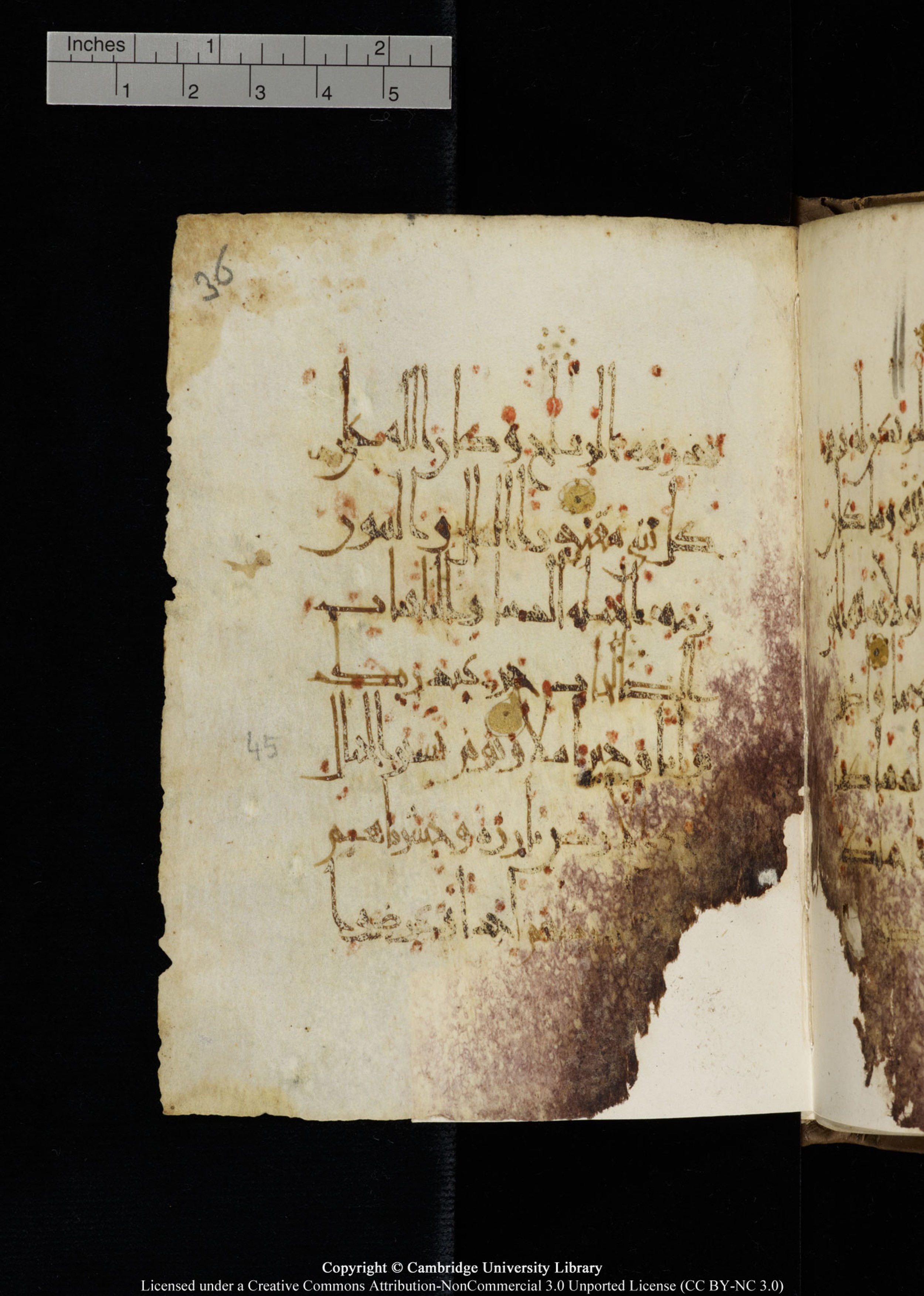 Cambridge, Cambridge University Library, MS Add.1134, in maġribī script, showing Surah 18:46 from 10th Century AD found in Sinai Peninsula, currently housed at Cambridge University Library, Cambridge