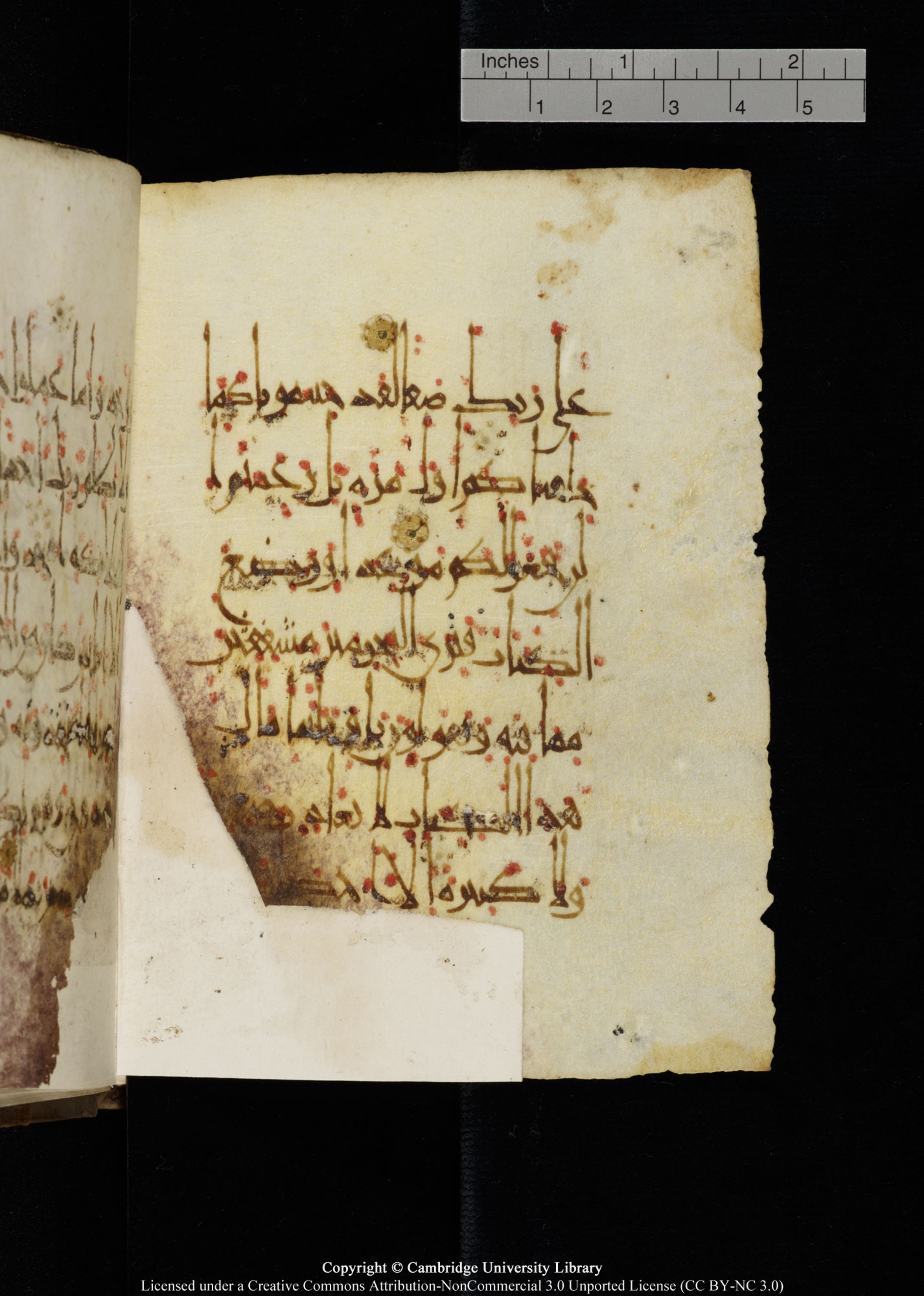 Cambridge, Cambridge University Library, MS Add.1134 (Scan 1), in maġribī script, showing Surah 18:49 from 10th Century AD found in Sinai Peninsula, currently housed at Cambridge University Library, Cambridge