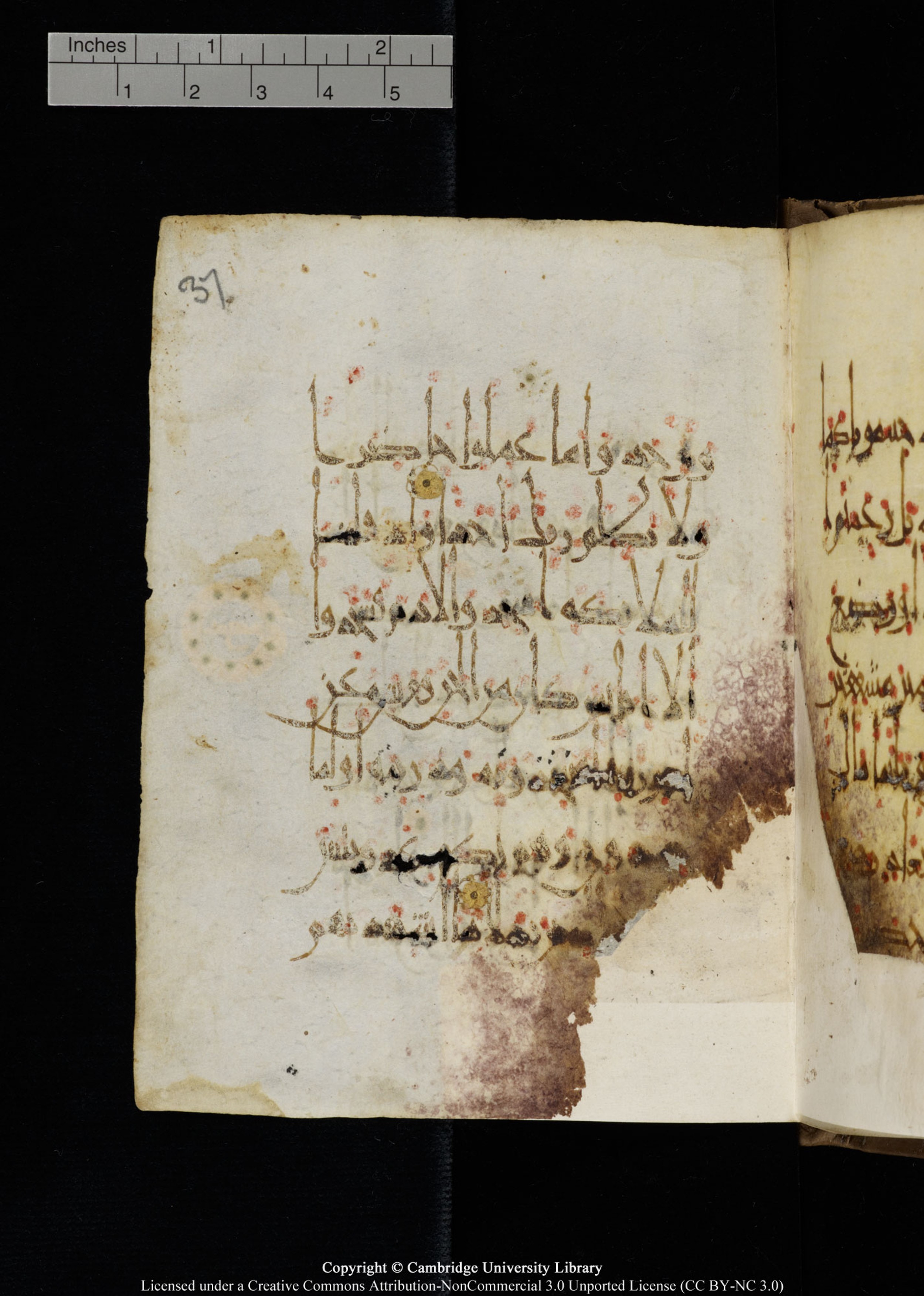 Cambridge, Cambridge University Library, MS Add.1134 (Scan 2), in maġribī script, showing Surah 18:49 from 10th Century AD found in Sinai Peninsula, currently housed at Cambridge University Library, Cambridge