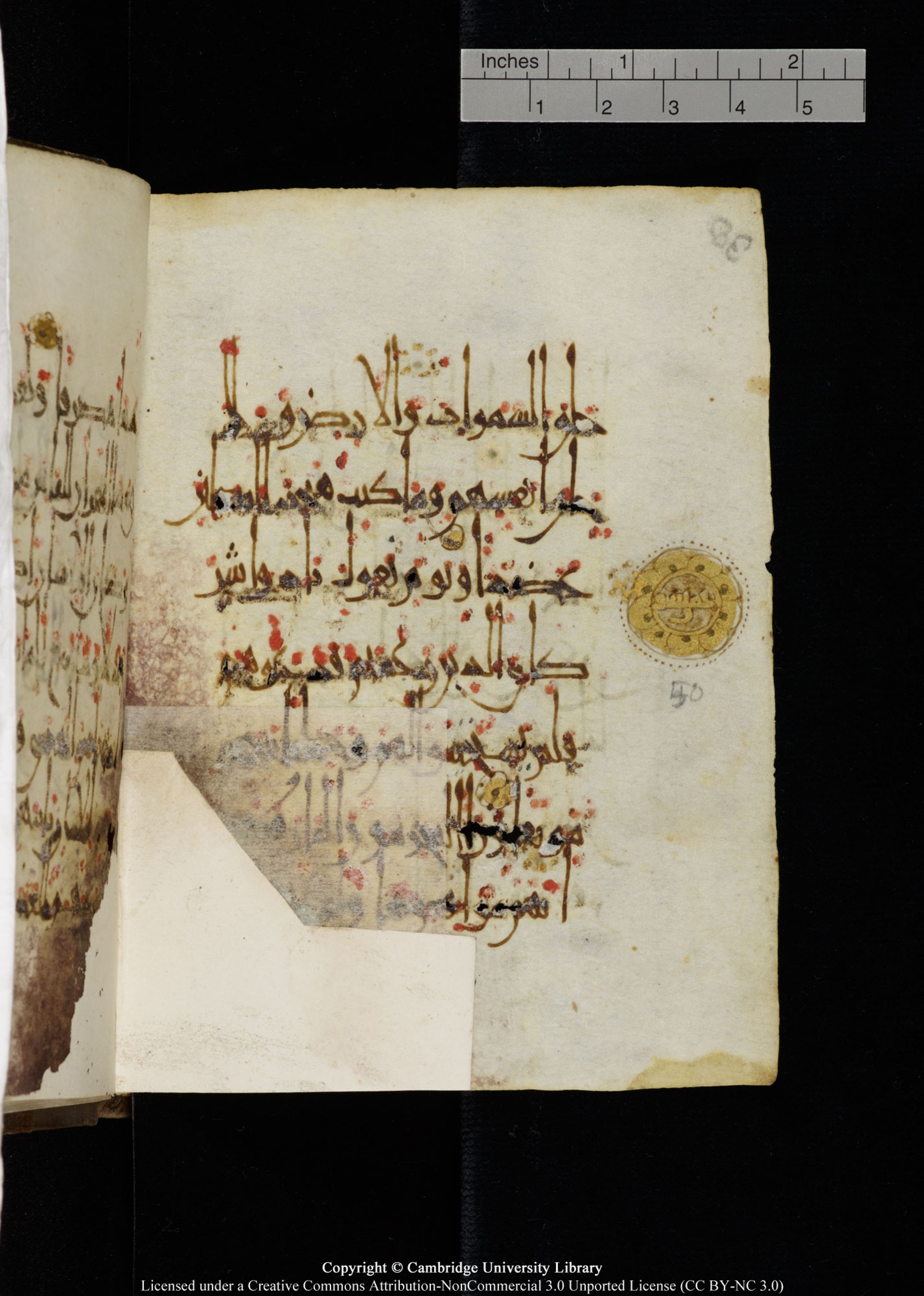 Cambridge, Cambridge University Library, MS Add.1134 (Scan 1), in maġribī script, showing Surah 18:53 from 10th Century AD found in Sinai Peninsula, currently housed at Cambridge University Library, Cambridge