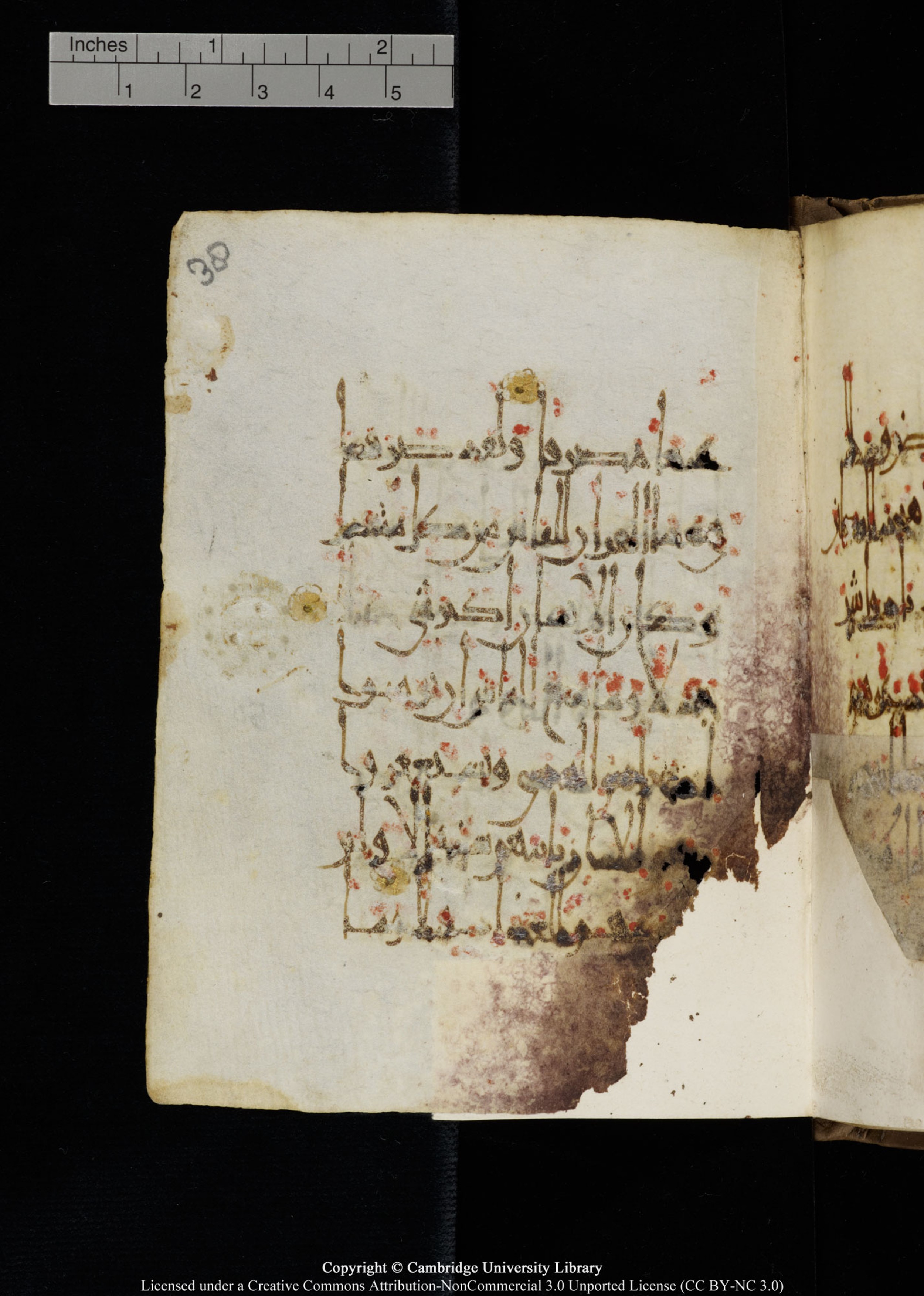 Cambridge, Cambridge University Library, MS Add.1134 (Scan 2), in maġribī script, showing Surah 18:53 from 10th Century AD found in Sinai Peninsula, currently housed at Cambridge University Library, Cambridge