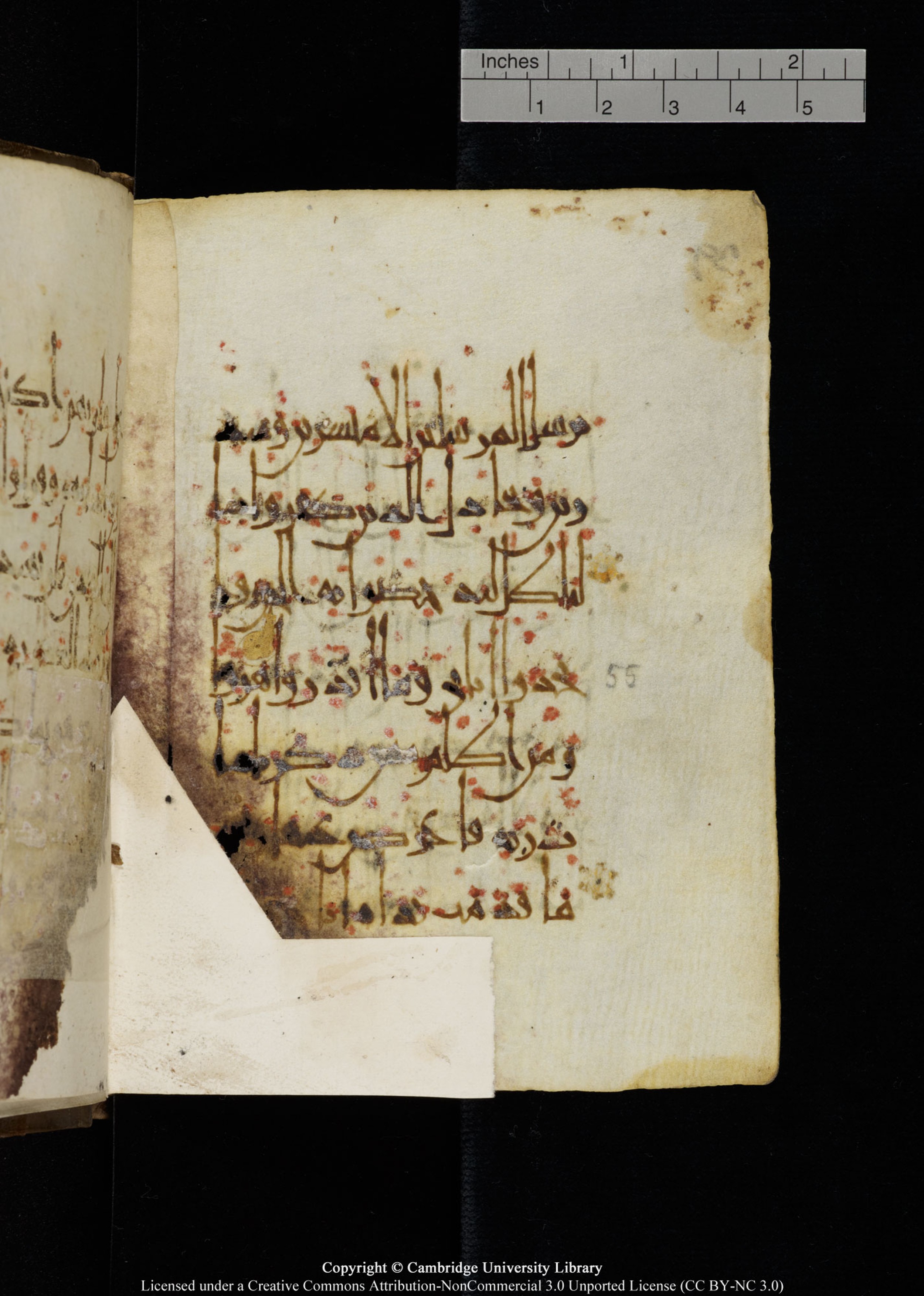 Cambridge, Cambridge University Library, MS Add.1134 (Scan 2), in maġribī script, showing Surah 18:56 from 10th Century AD found in Sinai Peninsula, currently housed at Cambridge University Library, Cambridge