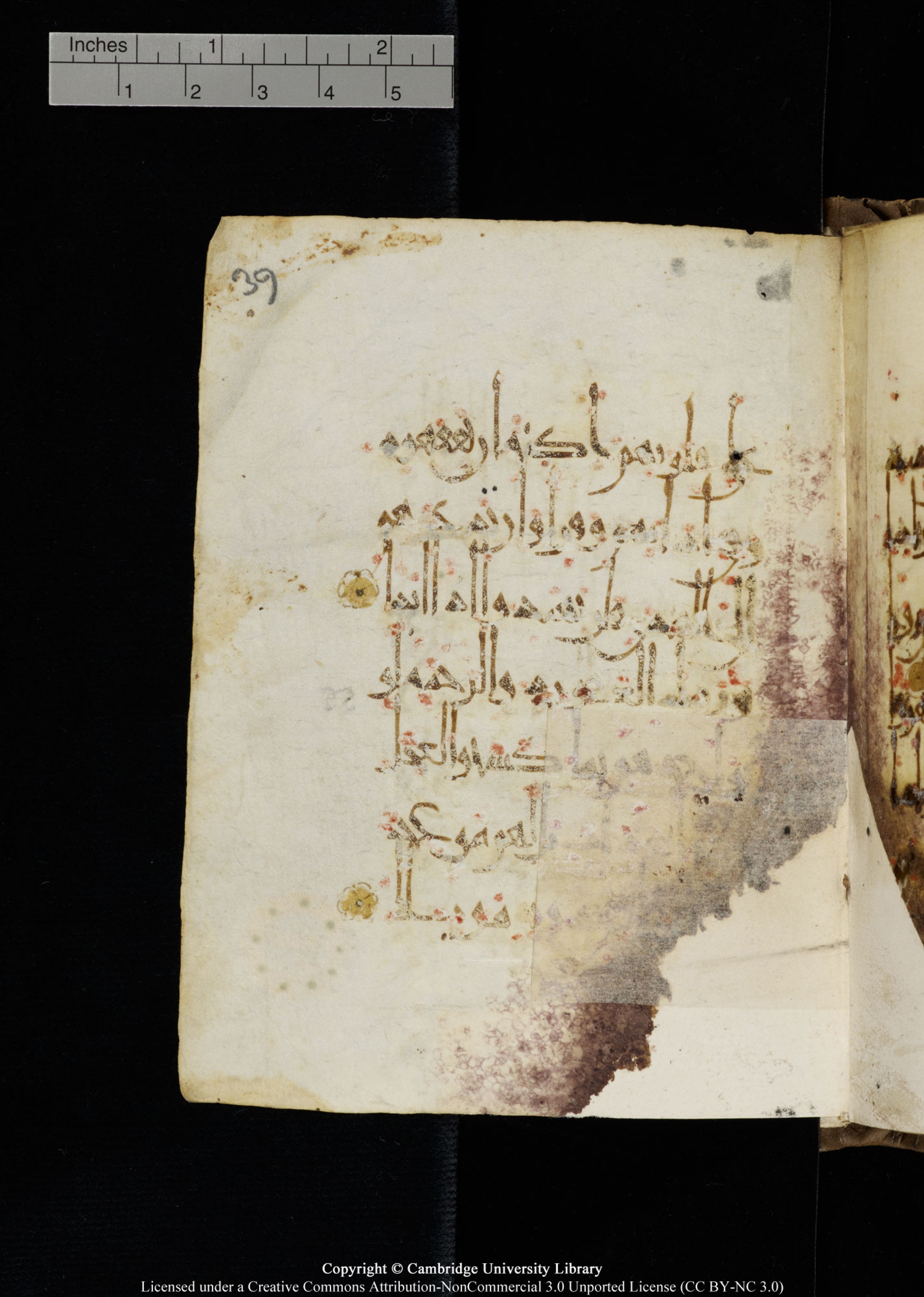 Cambridge, Cambridge University Library, MS Add.1134 (Scan 2), in maġribī script, showing Surah 18:57 from 10th Century AD found in Sinai Peninsula, currently housed at Cambridge University Library, Cambridge
