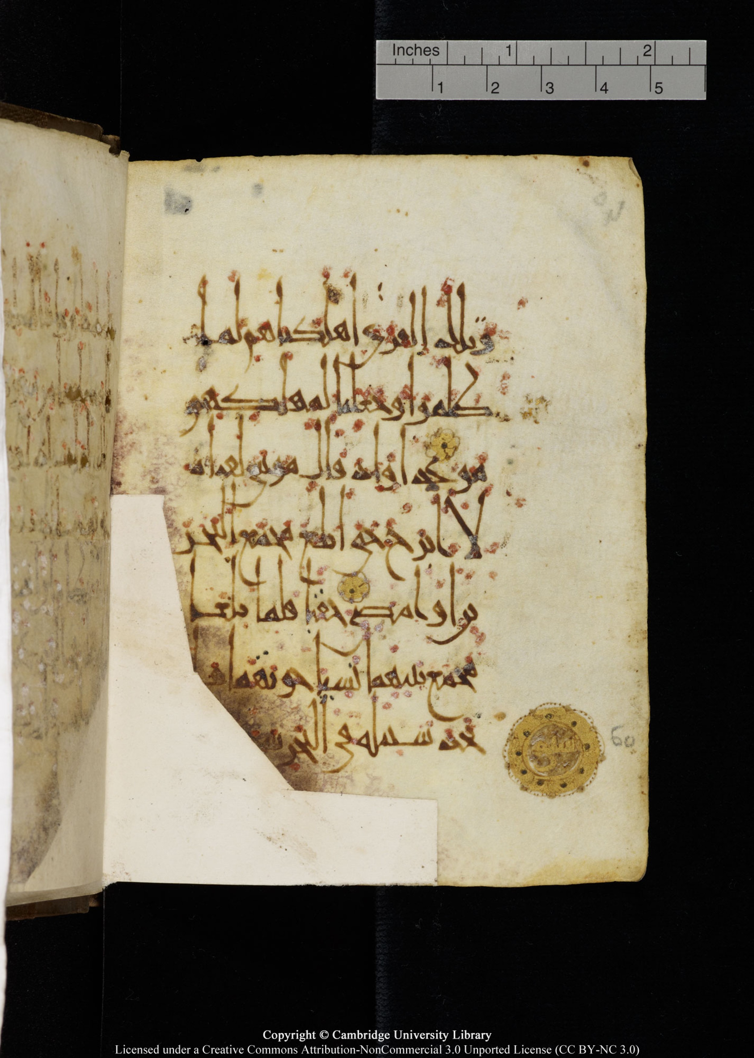 Cambridge, Cambridge University Library, MS Add.1134, in maġribī script, showing Surah 18:59 from 10th Century AD found in Sinai Peninsula, currently housed at Cambridge University Library, Cambridge