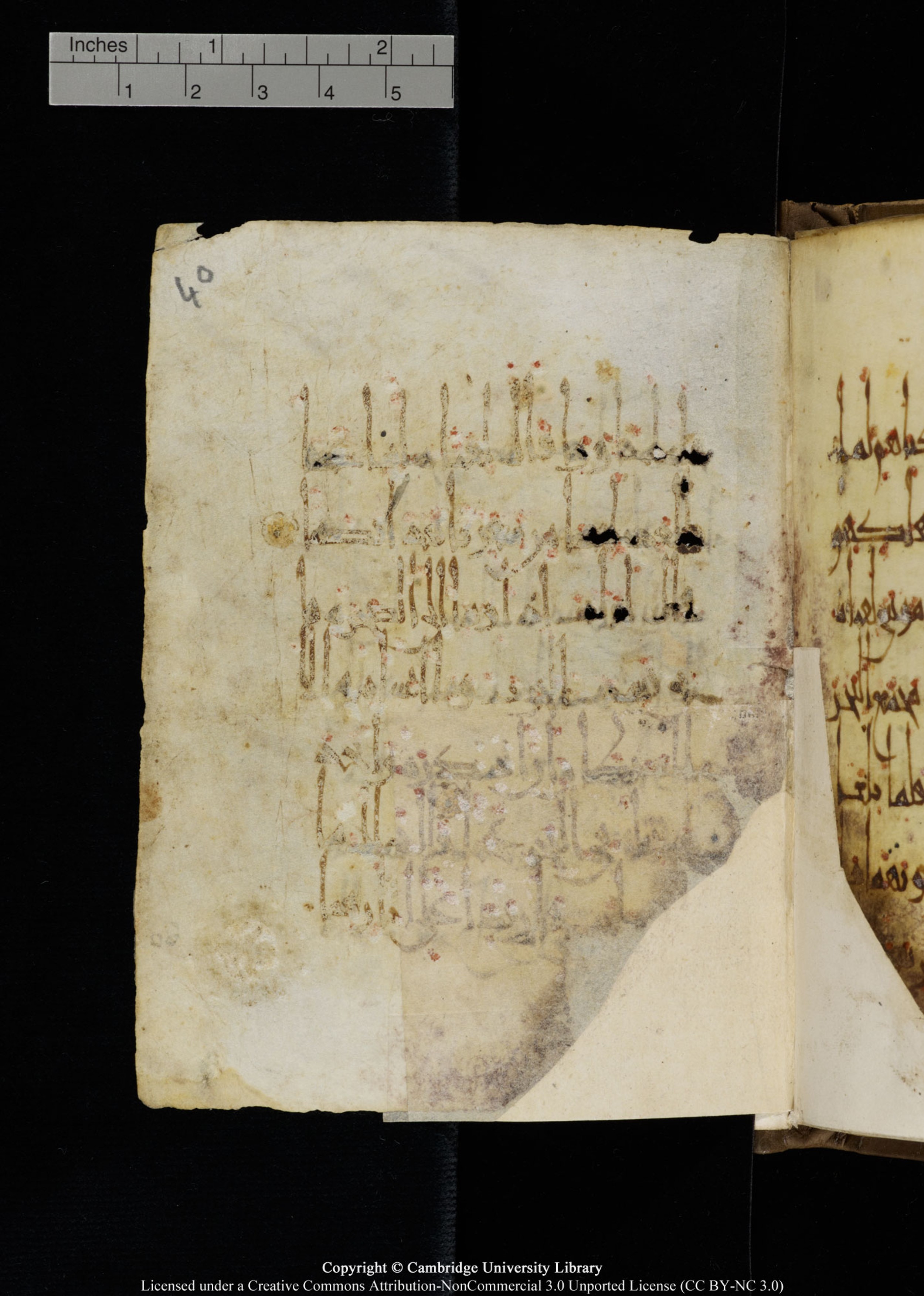 Cambridge, Cambridge University Library, MS Add.1134 (Scan 1), in maġribī script, showing Surah 18:64 from 10th Century AD found in Sinai Peninsula, currently housed at Cambridge University Library, Cambridge