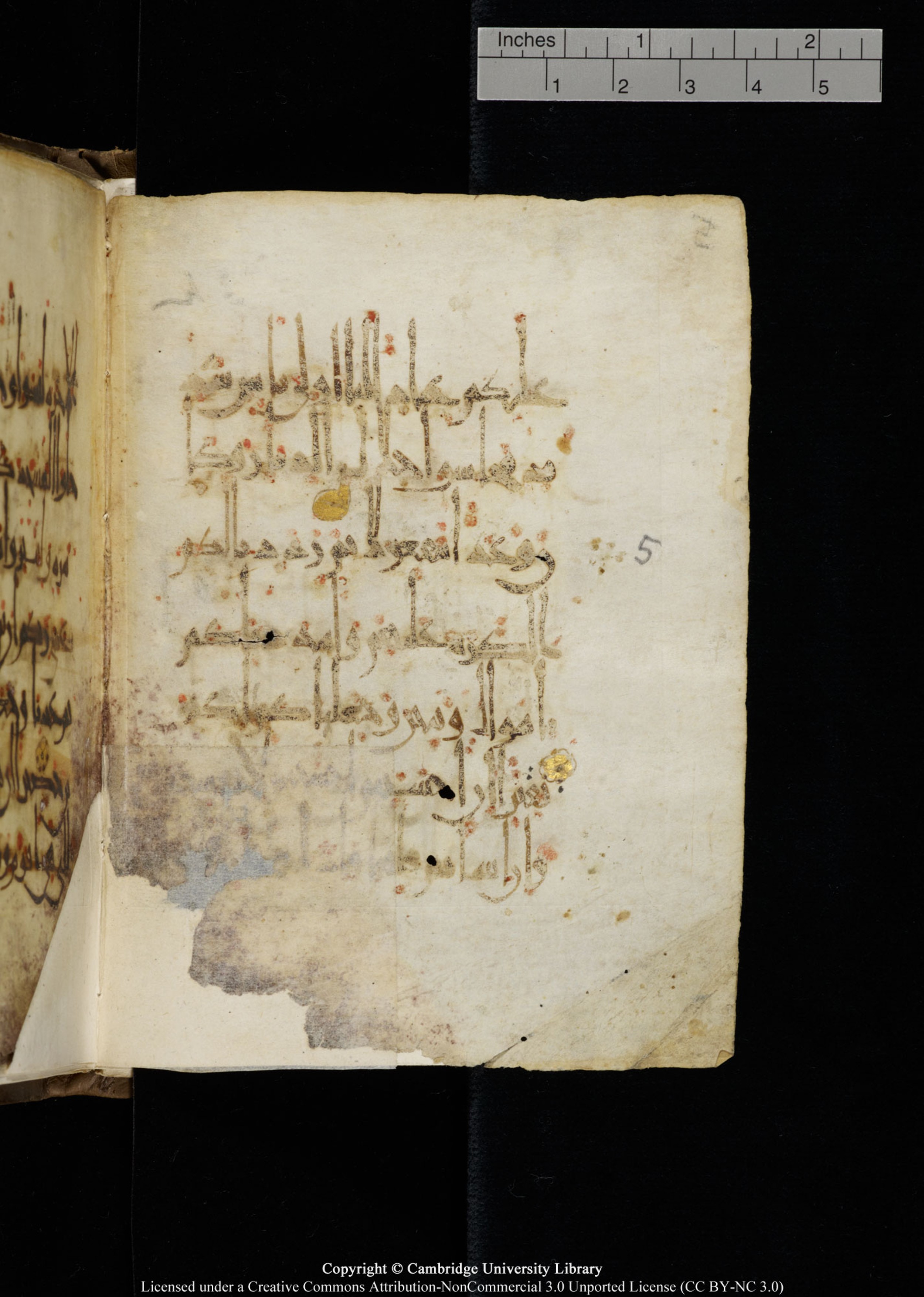 Cambridge, Cambridge University Library, MS Add.1134 (Scan 1), in maġribī script, showing Surah 17:7 from 10th Century AD found in Sinai Peninsula, currently housed at Cambridge University Library, Cambridge