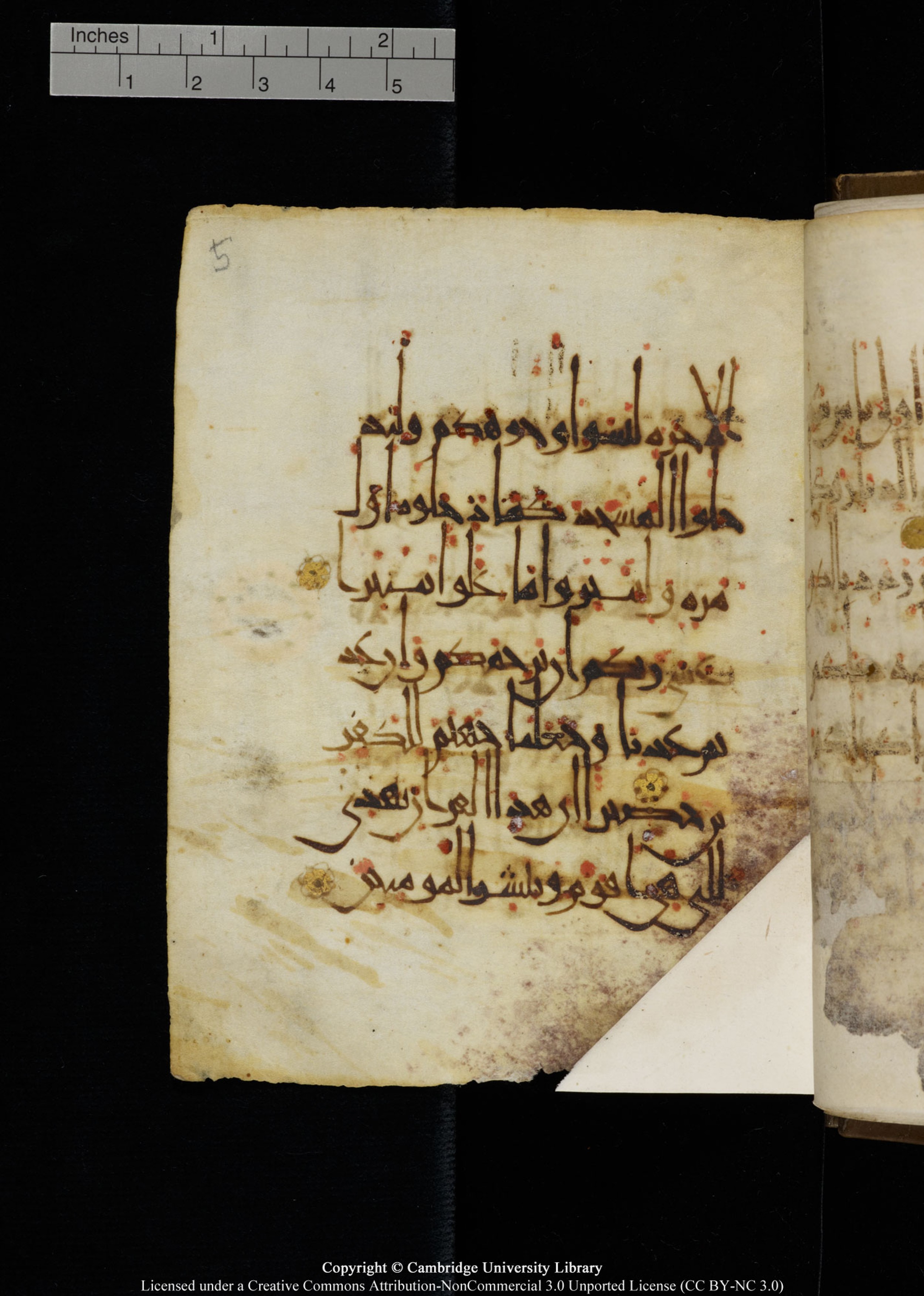 Cambridge, Cambridge University Library, MS Add.1134 (Scan 2), in maġribī script, showing Surah 17:7 from 10th Century AD found in Sinai Peninsula, currently housed at Cambridge University Library, Cambridge