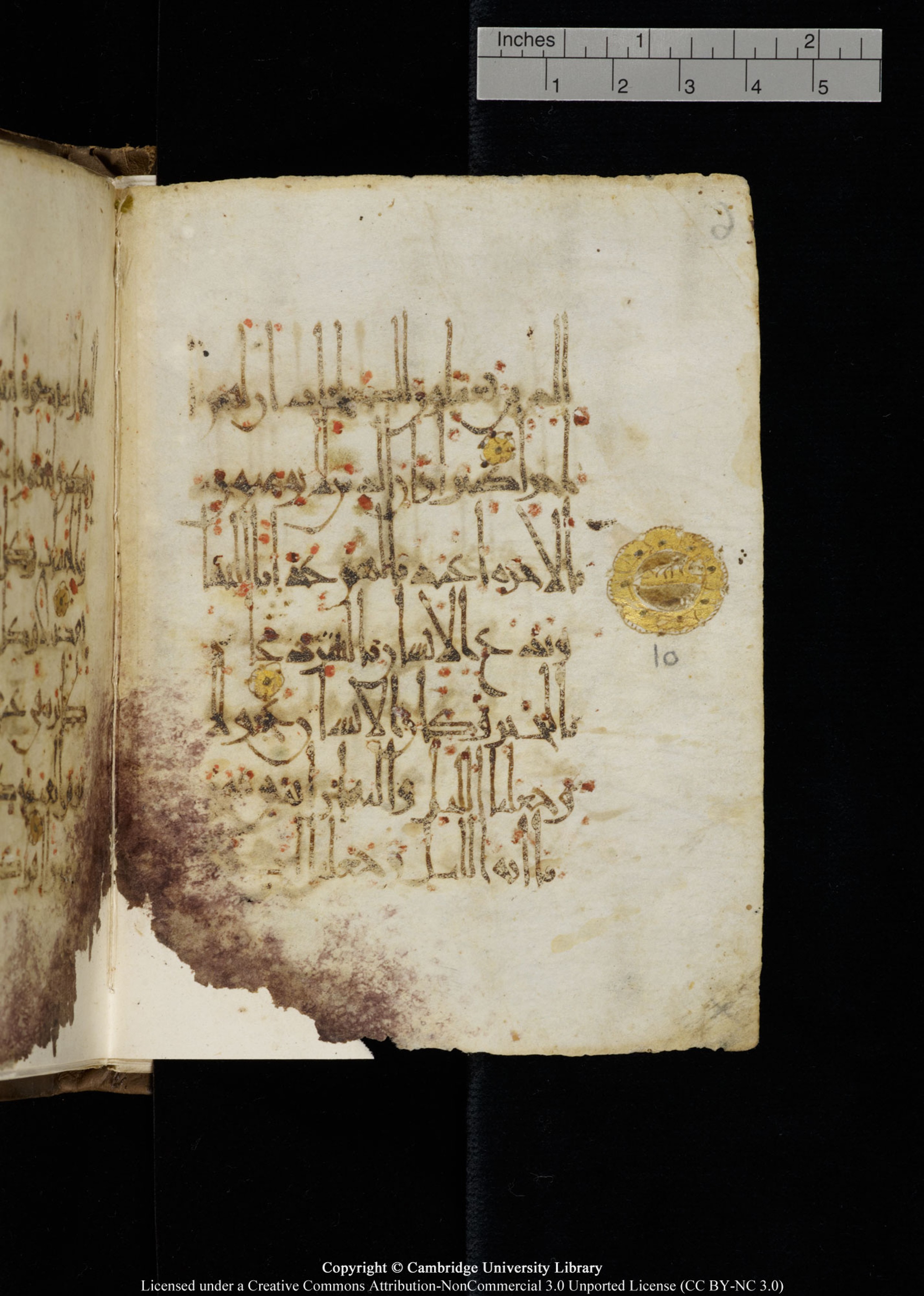 Cambridge, Cambridge University Library, MS Add.1134, in maġribī script, showing Surah 17:10 from 10th Century AD found in Sinai Peninsula, currently housed at Cambridge University Library, Cambridge