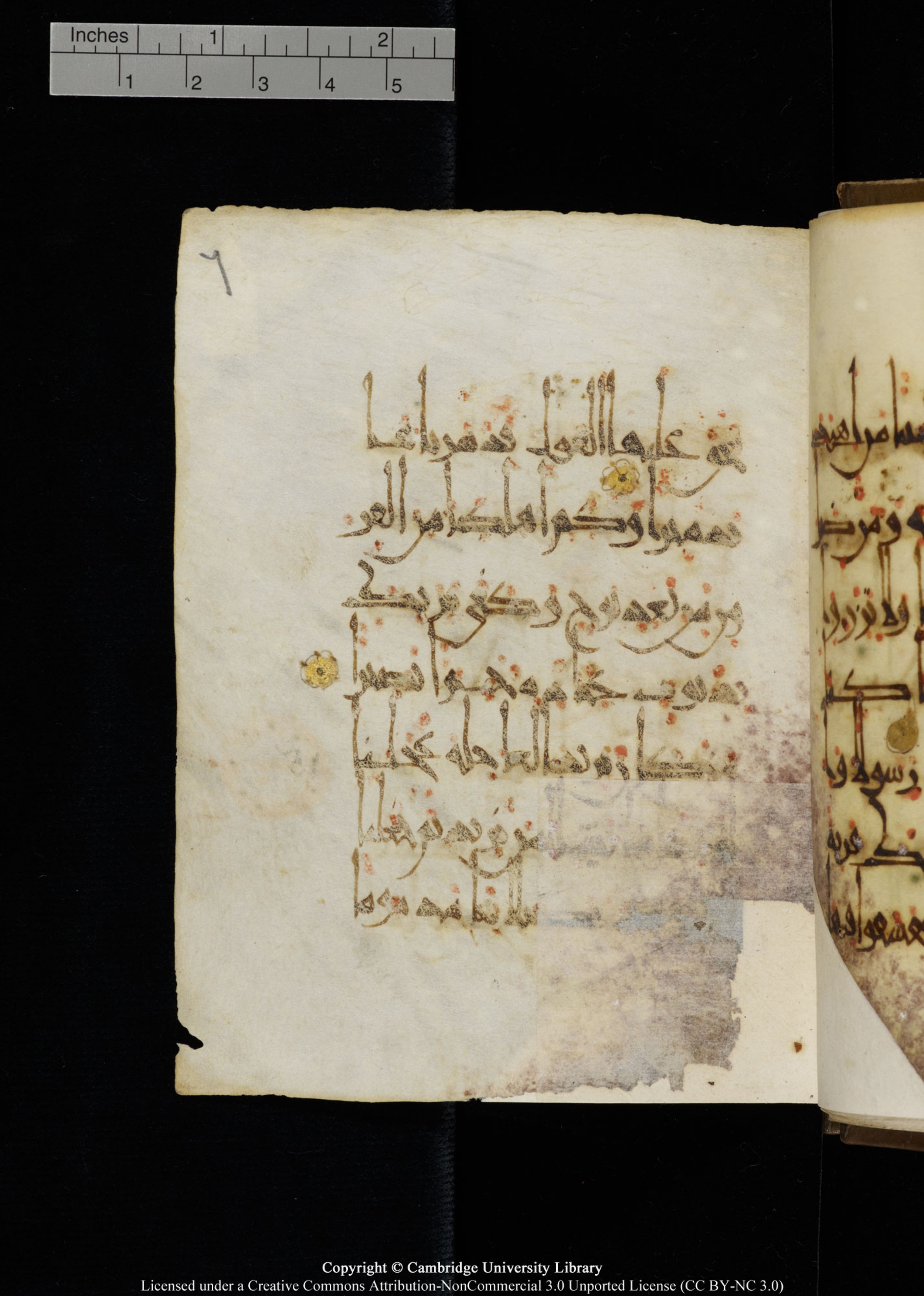 Cambridge, Cambridge University Library, MS Add.1134 (Scan 2), in maġribī script, showing Surah 17:16 from 10th Century AD found in Sinai Peninsula, currently housed at Cambridge University Library, Cambridge