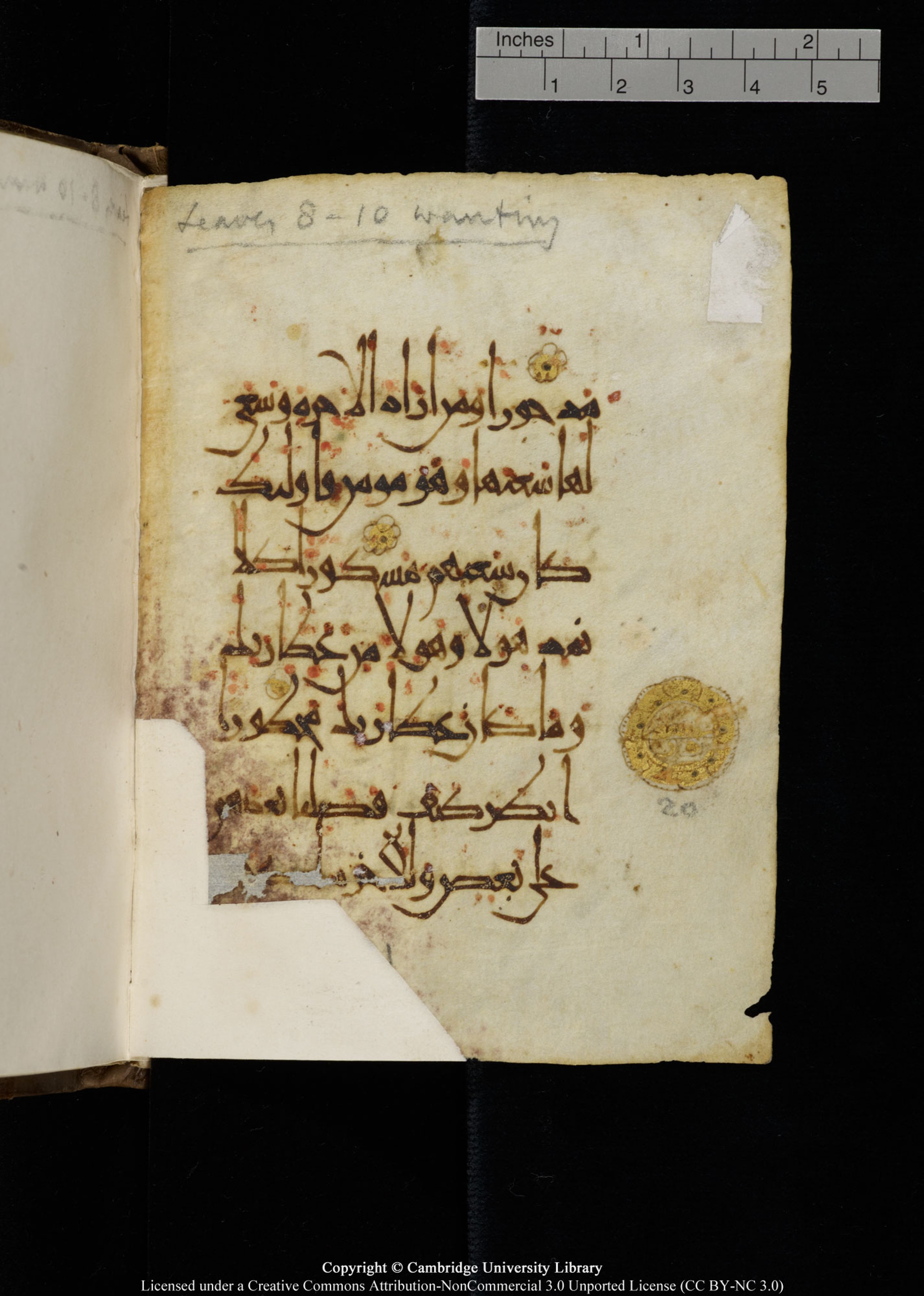 Cambridge, Cambridge University Library, MS Add.1134, in maġribī script, showing Surah 17:21 from 10th Century AD found in Sinai Peninsula, currently housed at Cambridge University Library, Cambridge