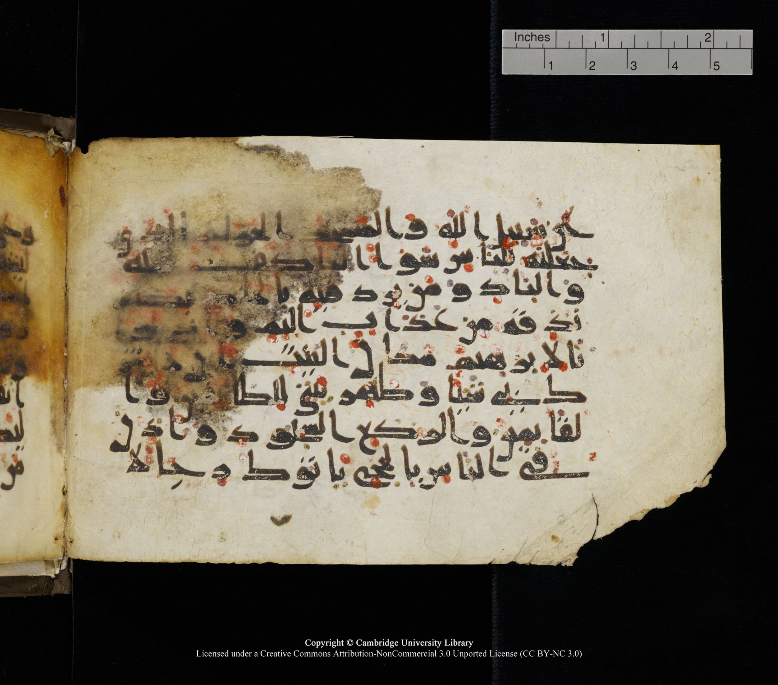 Cambridge, Cambridge University Library, MS Add.1136 (Scan 2), in Kūfī D script, showing Surah 22:25 from 9th or 10th Century AD found in Sinai Peninsula, currently housed at Cambridge University Library, Cambridge