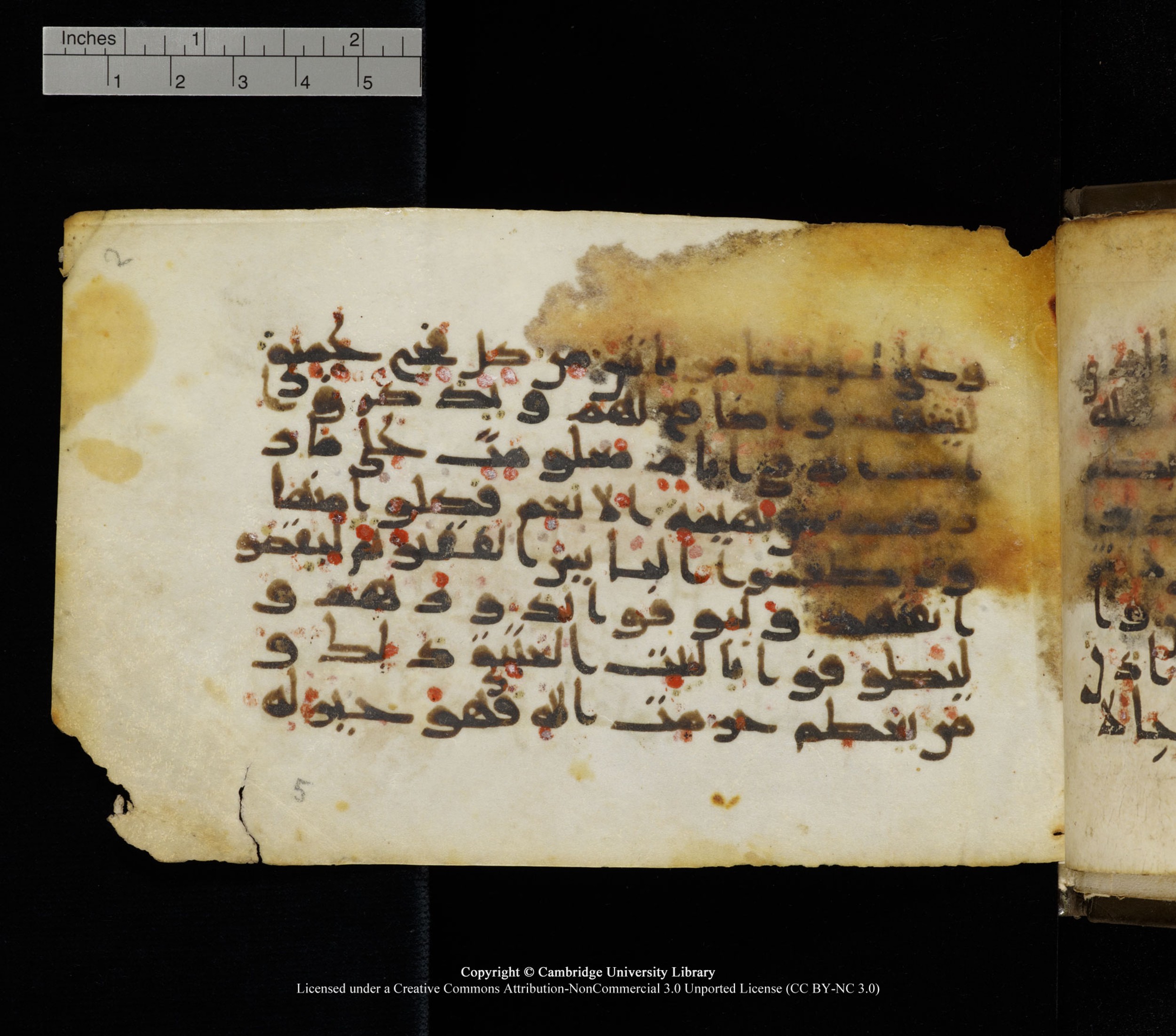 Cambridge, Cambridge University Library, MS Add.1136, in Kūfī D script, showing Surah 22:29 from 9th or 10th Century AD found in Sinai Peninsula, currently housed at Cambridge University Library, Cambridge