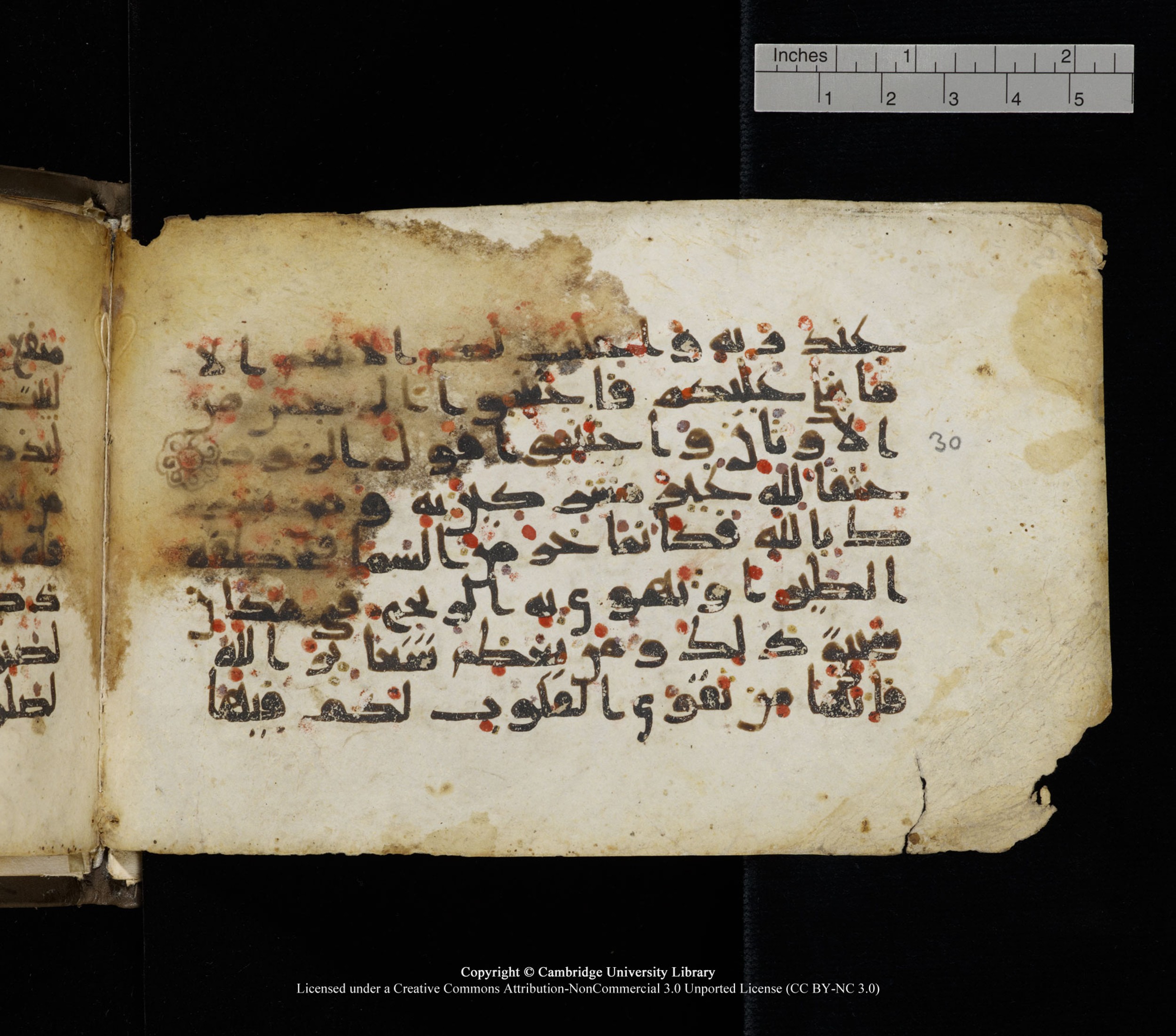 Cambridge, Cambridge University Library, MS Add.1136 (Scan 1), in Kūfī D script, showing Surah 22:33 from 9th or 10th Century AD found in Sinai Peninsula, currently housed at Cambridge University Library, Cambridge