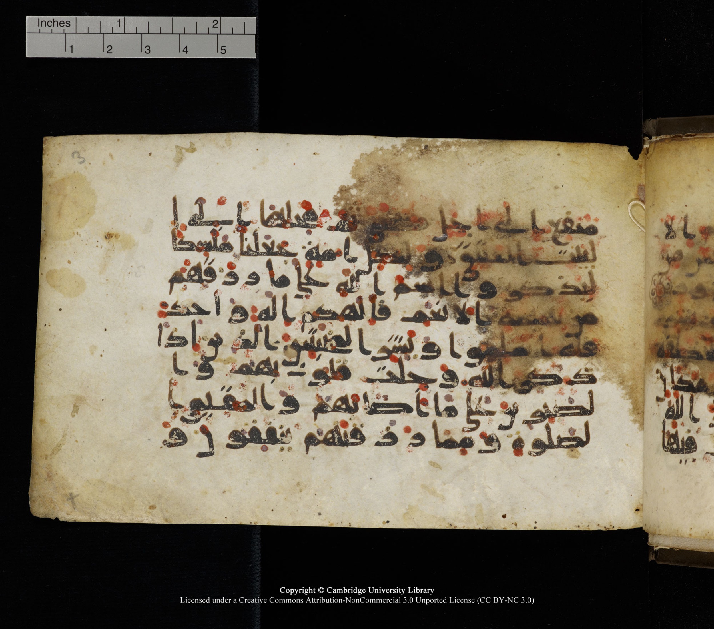 Cambridge, Cambridge University Library, MS Add.1136 (Scan 2), in Kūfī D script, showing Surah 22:33 from 9th or 10th Century AD found in Sinai Peninsula, currently housed at Cambridge University Library, Cambridge