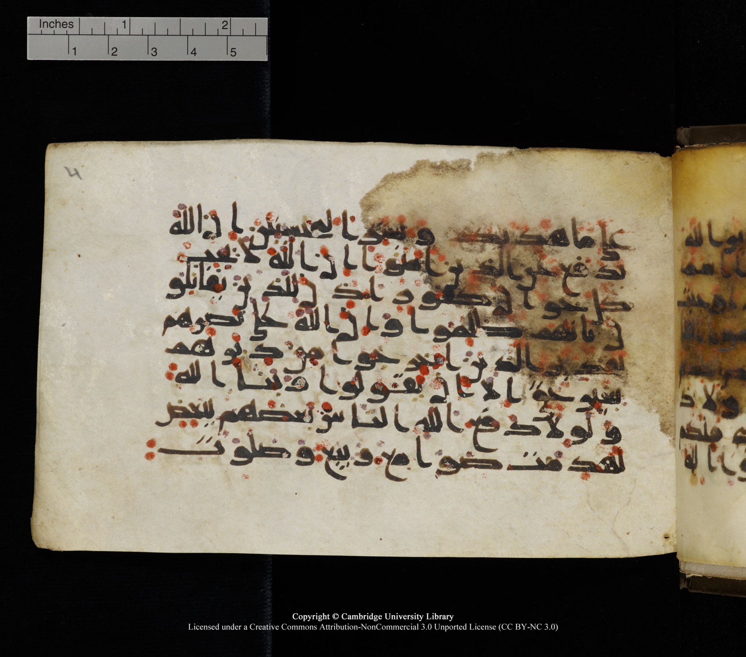 Cambridge, Cambridge University Library, MS Add.1136, in Kūfī D script, showing Surah 22:39 from 9th or 10th Century AD found in Sinai Peninsula, currently housed at Cambridge University Library, Cambridge