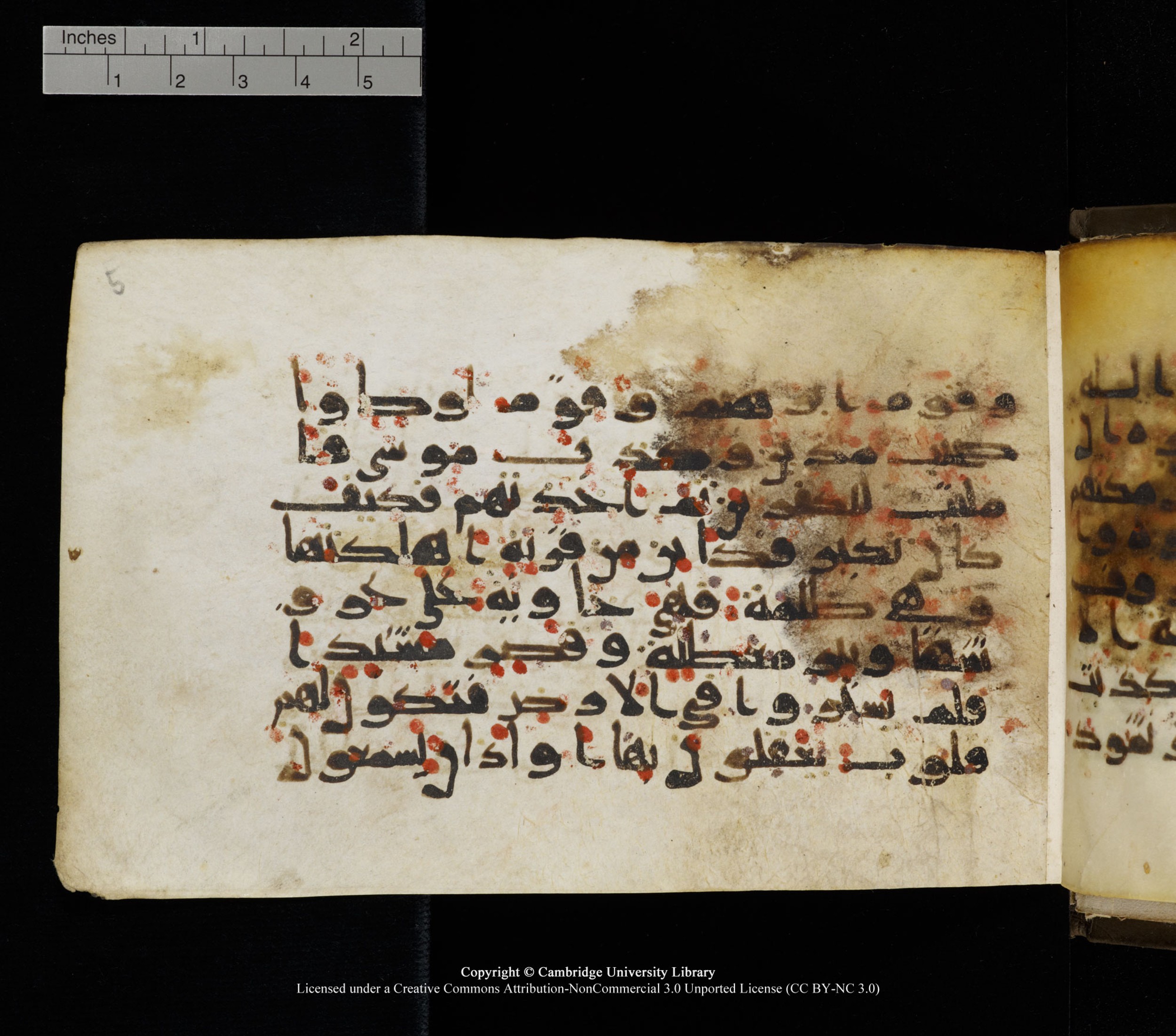 Cambridge, Cambridge University Library, MS Add.1136, in Kūfī D script, showing Surah 22:43 from 9th or 10th Century AD found in Sinai Peninsula, currently housed at Cambridge University Library, Cambridge
