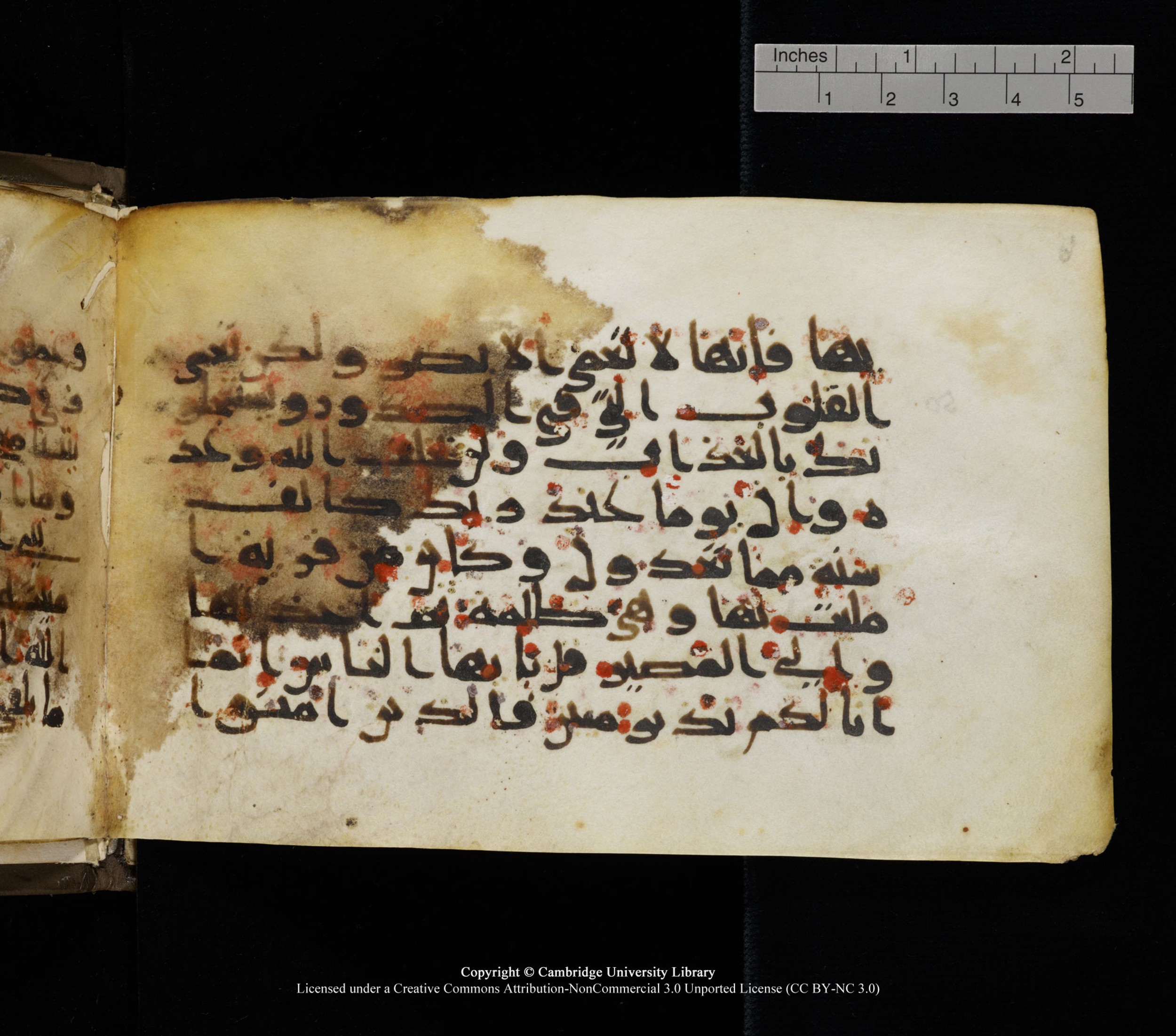 Cambridge, Cambridge University Library, MS Add.1136, in Kūfī D script, showing Surah 22:49 from 9th or 10th Century AD found in Sinai Peninsula, currently housed at Cambridge University Library, Cambridge