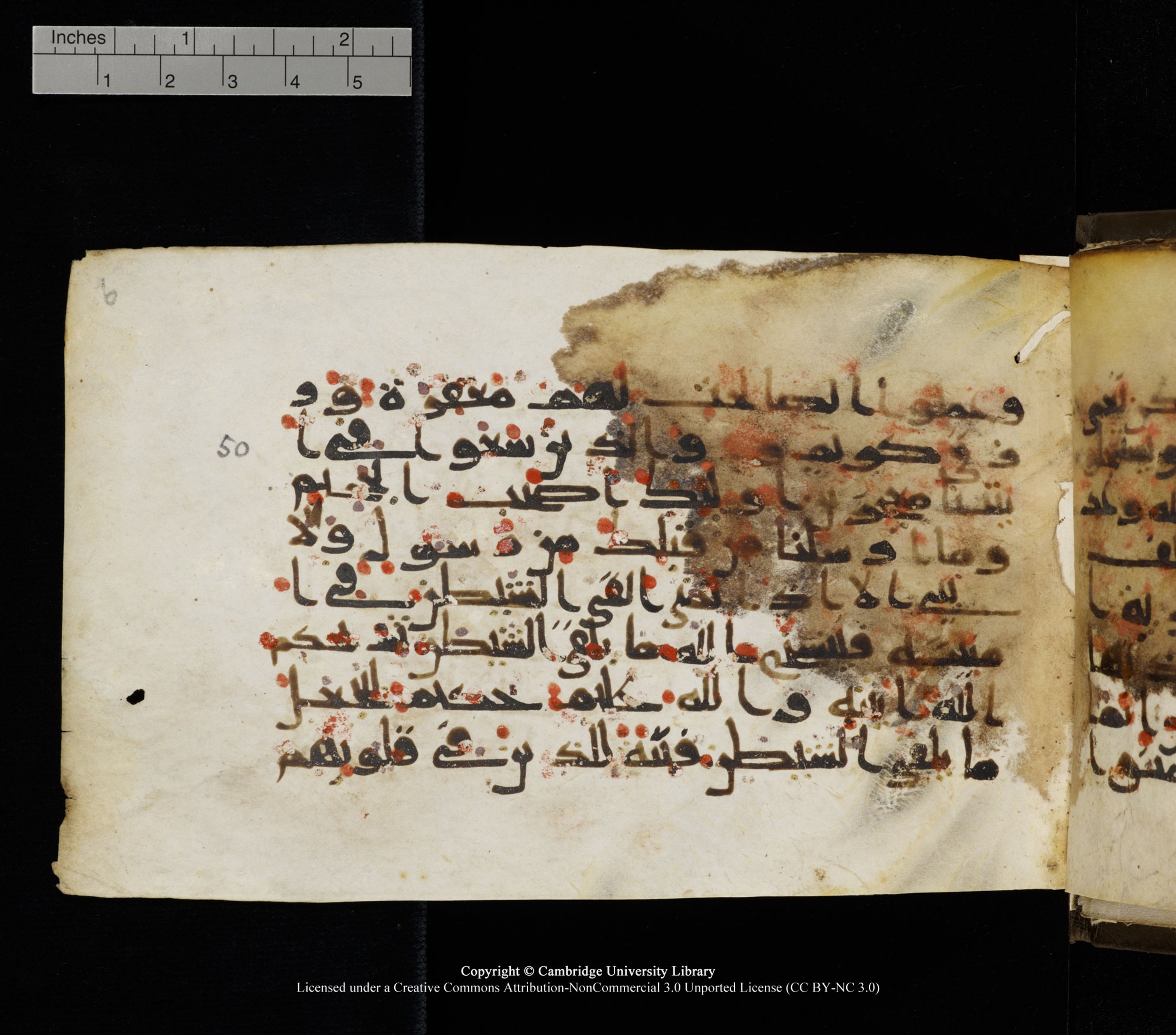 Cambridge, Cambridge University Library, MS Add.1136, in Kūfī D script, showing Surah 22:51 from 9th or 10th Century AD found in Sinai Peninsula, currently housed at Cambridge University Library, Cambridge
