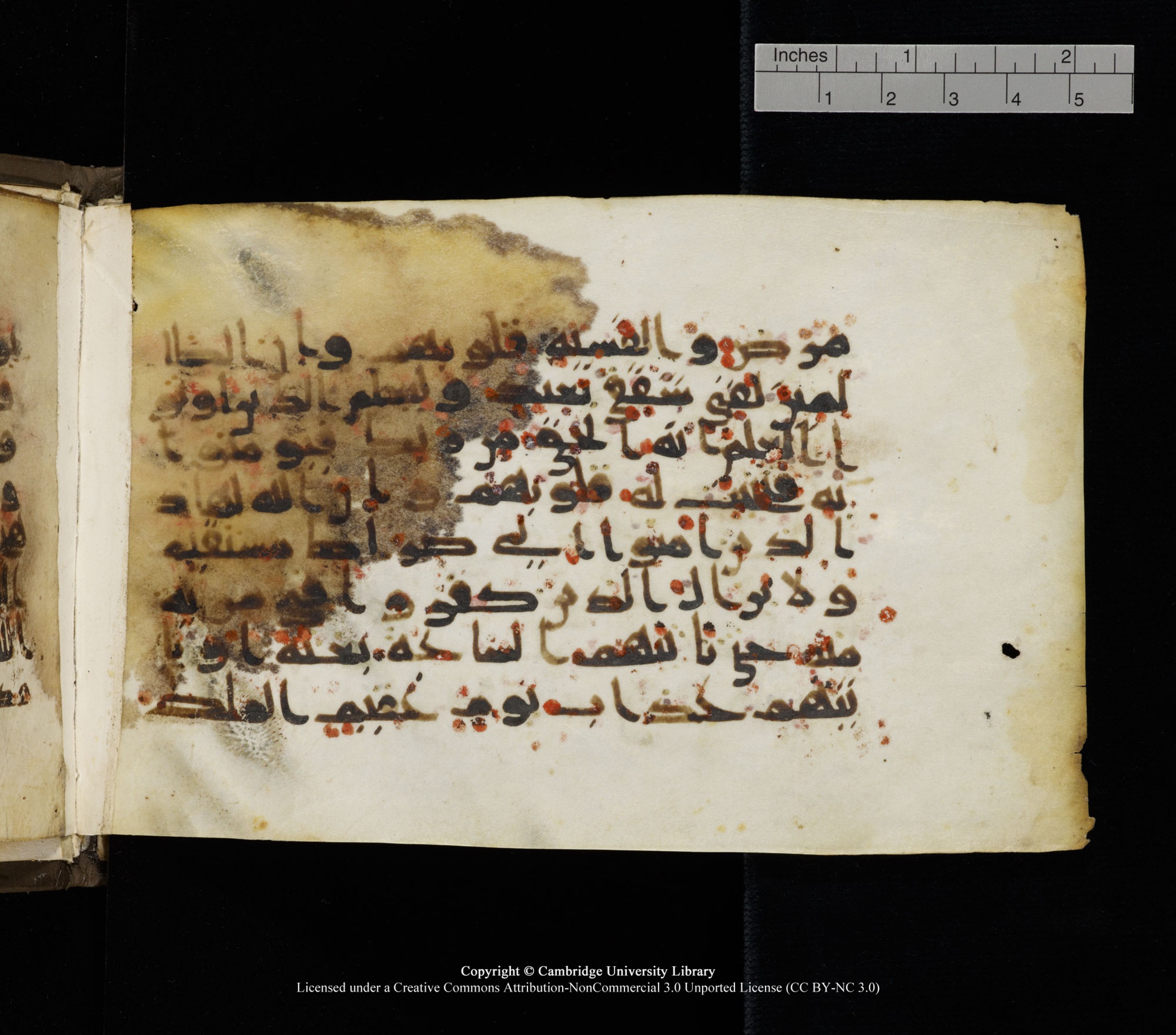 Cambridge, Cambridge University Library, MS Add.1136 (Scan 1), in Kūfī D script, showing Surah 22:56 from 9th or 10th Century AD found in Sinai Peninsula, currently housed at Cambridge University Library, Cambridge