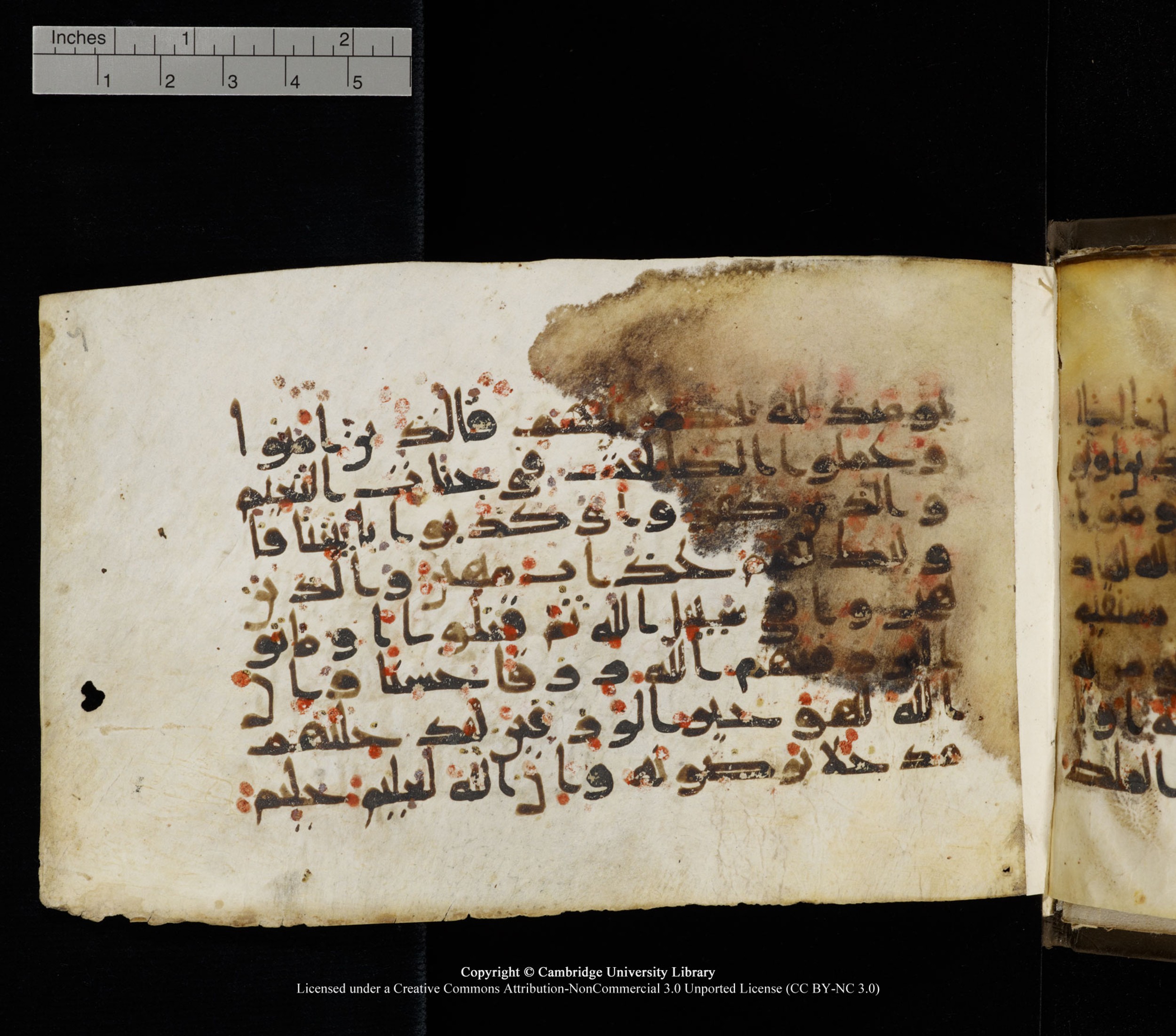 Cambridge, Cambridge University Library, MS Add.1136 (Scan 2), in Kūfī D script, showing Surah 22:56 from 9th or 10th Century AD found in Sinai Peninsula, currently housed at Cambridge University Library, Cambridge