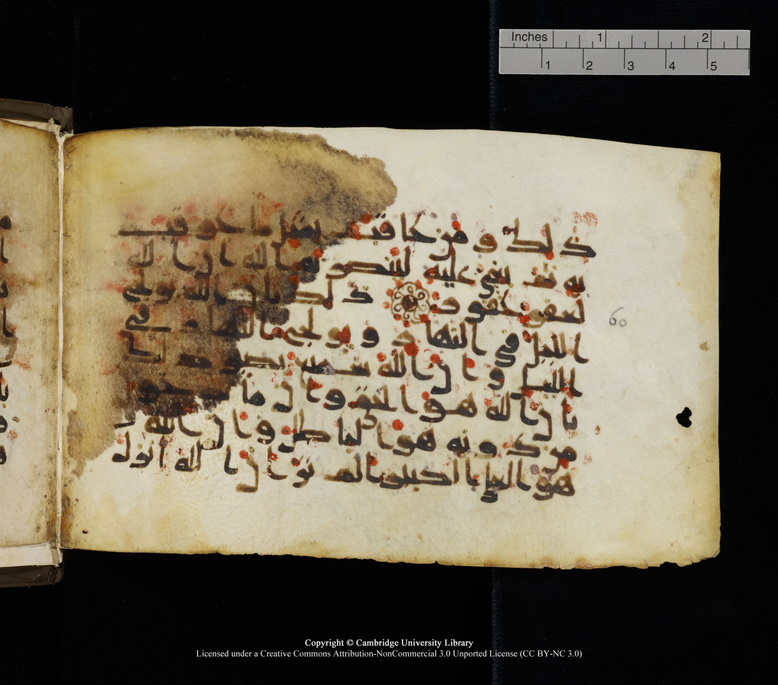 Cambridge, Cambridge University Library, MS Add.1136, in Kūfī D script, showing Surah 22:60 from 9th or 10th Century AD found in Sinai Peninsula, currently housed at Cambridge University Library, Cambridge