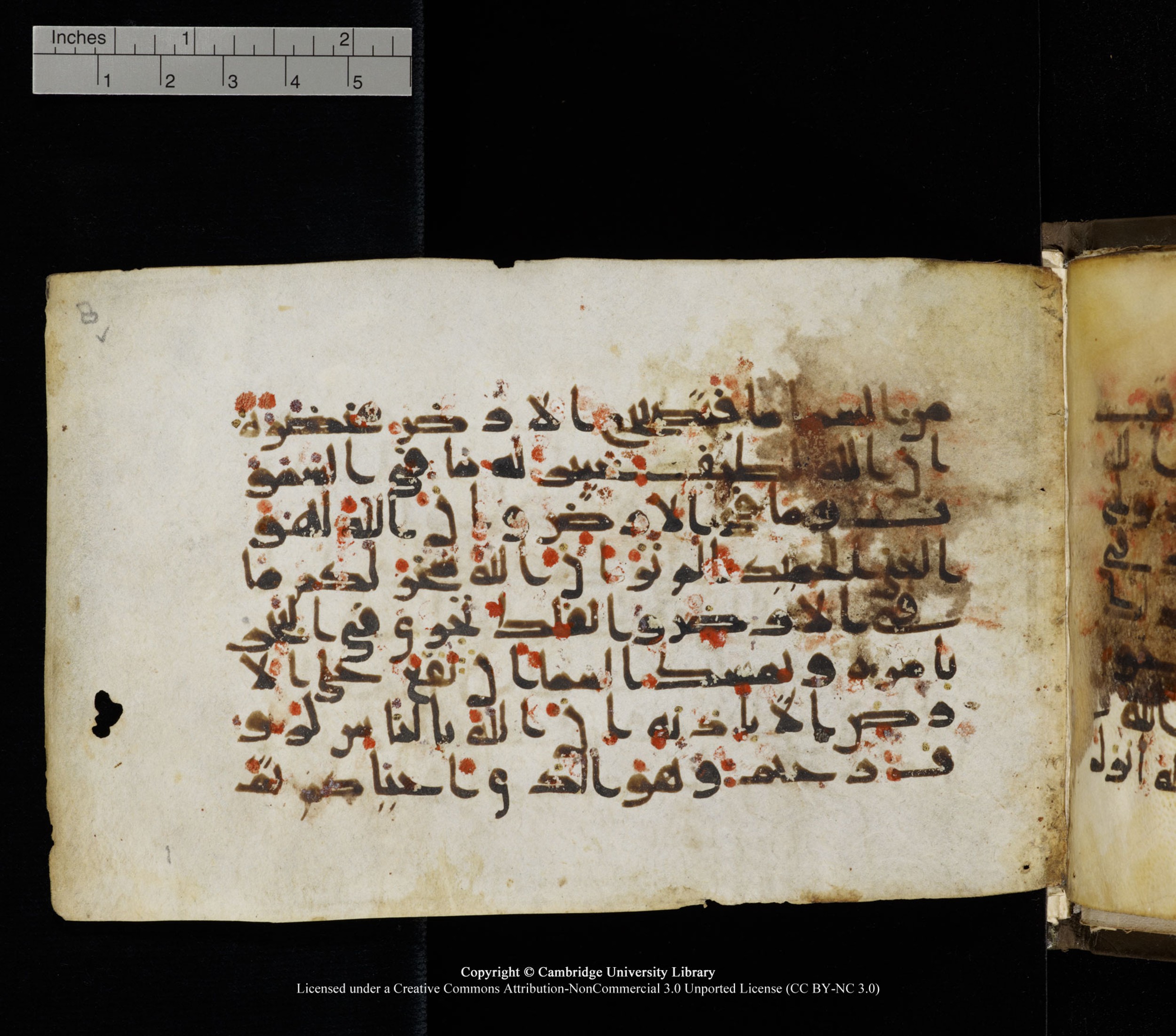 Cambridge, Cambridge University Library, MS Add.1136, in Kūfī D script, showing Surah 22:65 from 9th or 10th Century AD found in Sinai Peninsula, currently housed at Cambridge University Library, Cambridge