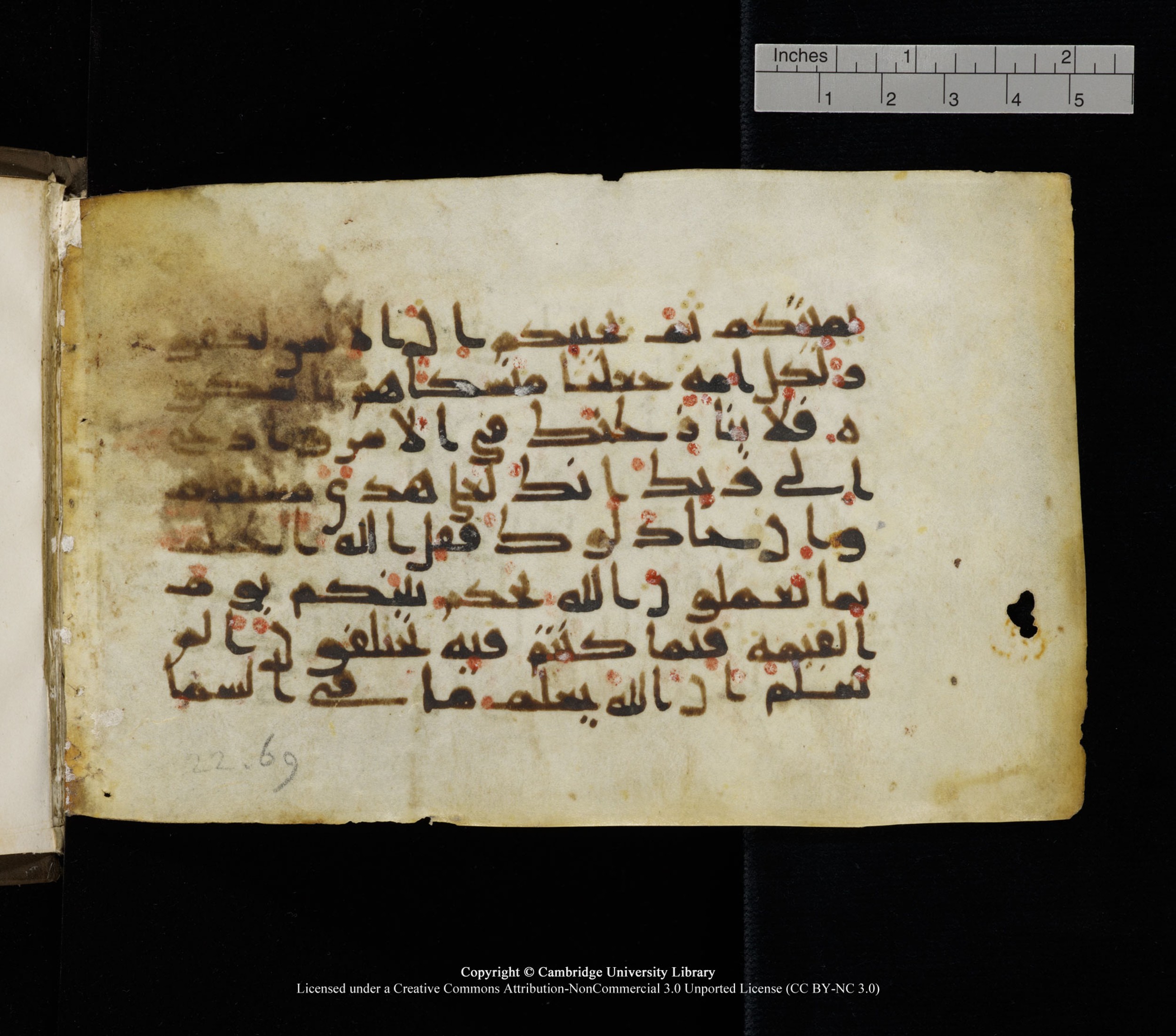 Cambridge, Cambridge University Library, MS Add.1136, in Kūfī D script, showing Surah 22:69 from 9th or 10th Century AD found in Sinai Peninsula, currently housed at Cambridge University Library, Cambridge