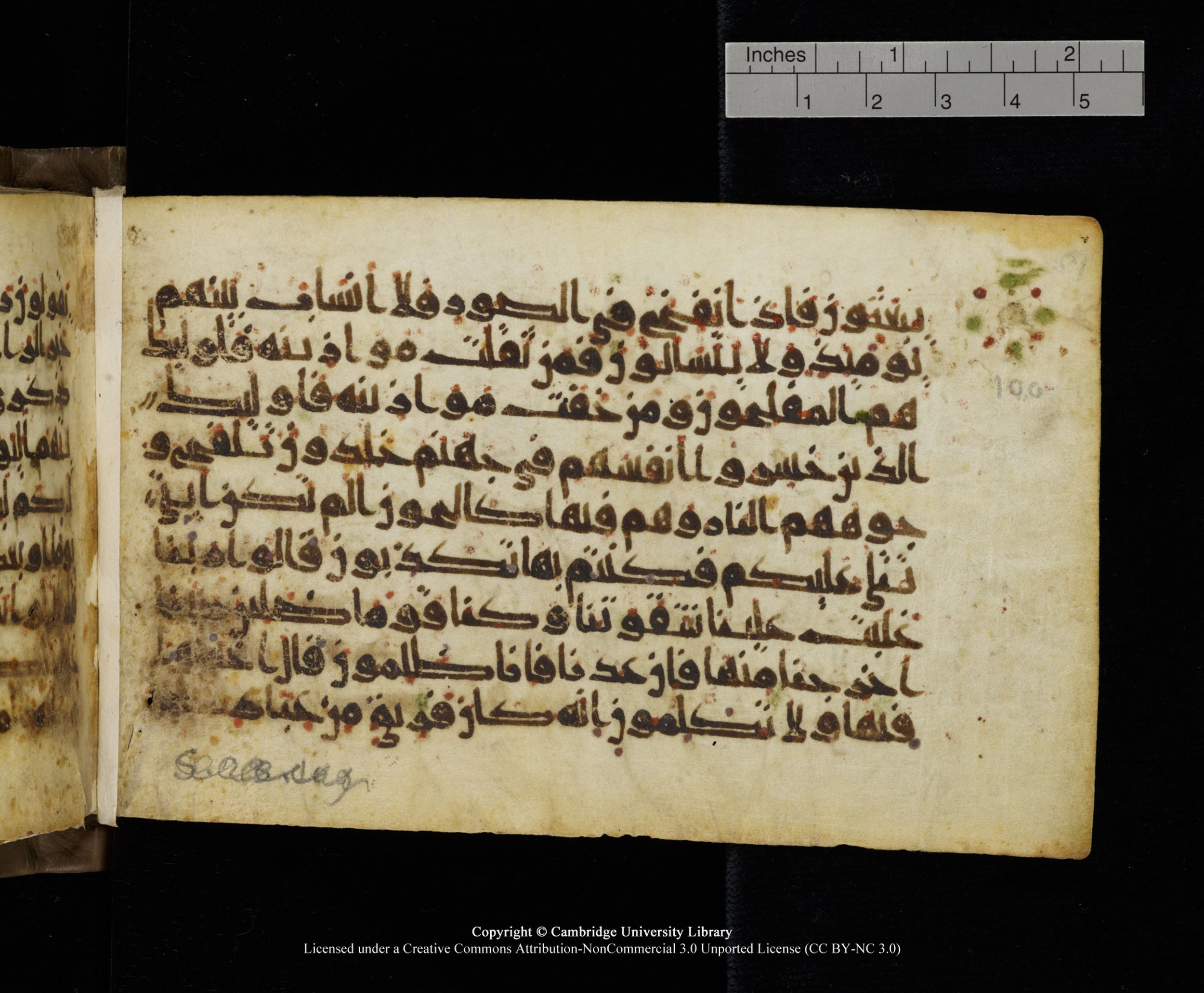 Cambridge MS Add.1137, in kūfī E script, showing Surah 23:102 from 9th or 10th Century AD found in Sinai Peninsula, Egypt, currently housed at Cambridge University Library, Cambridge