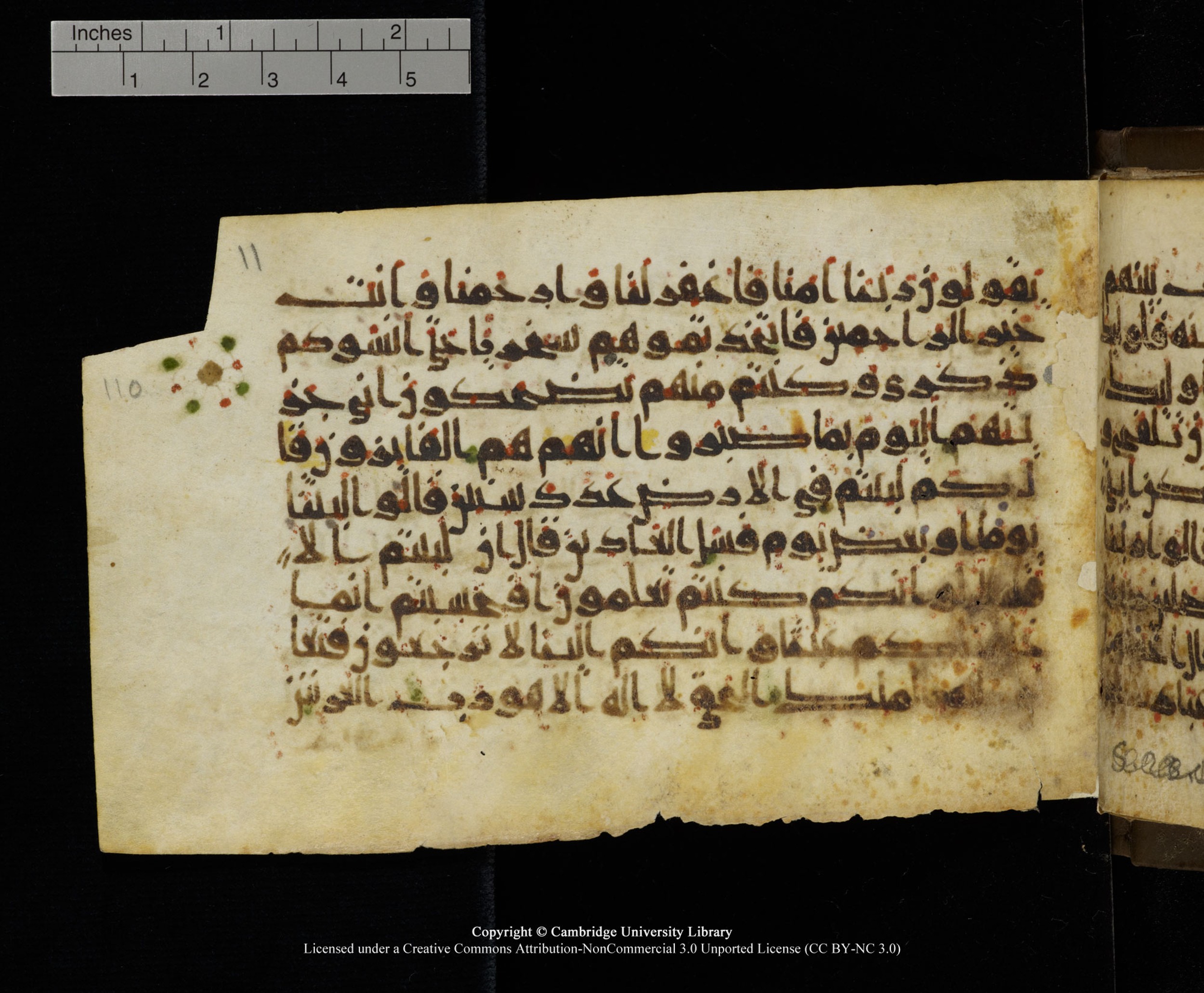 Cambridge MS Add.1137, in kūfī E script, showing Surah 23:113 from 9th or 10th Century AD found in Sinai Peninsula, Egypt, currently housed at Cambridge University Library, Cambridge