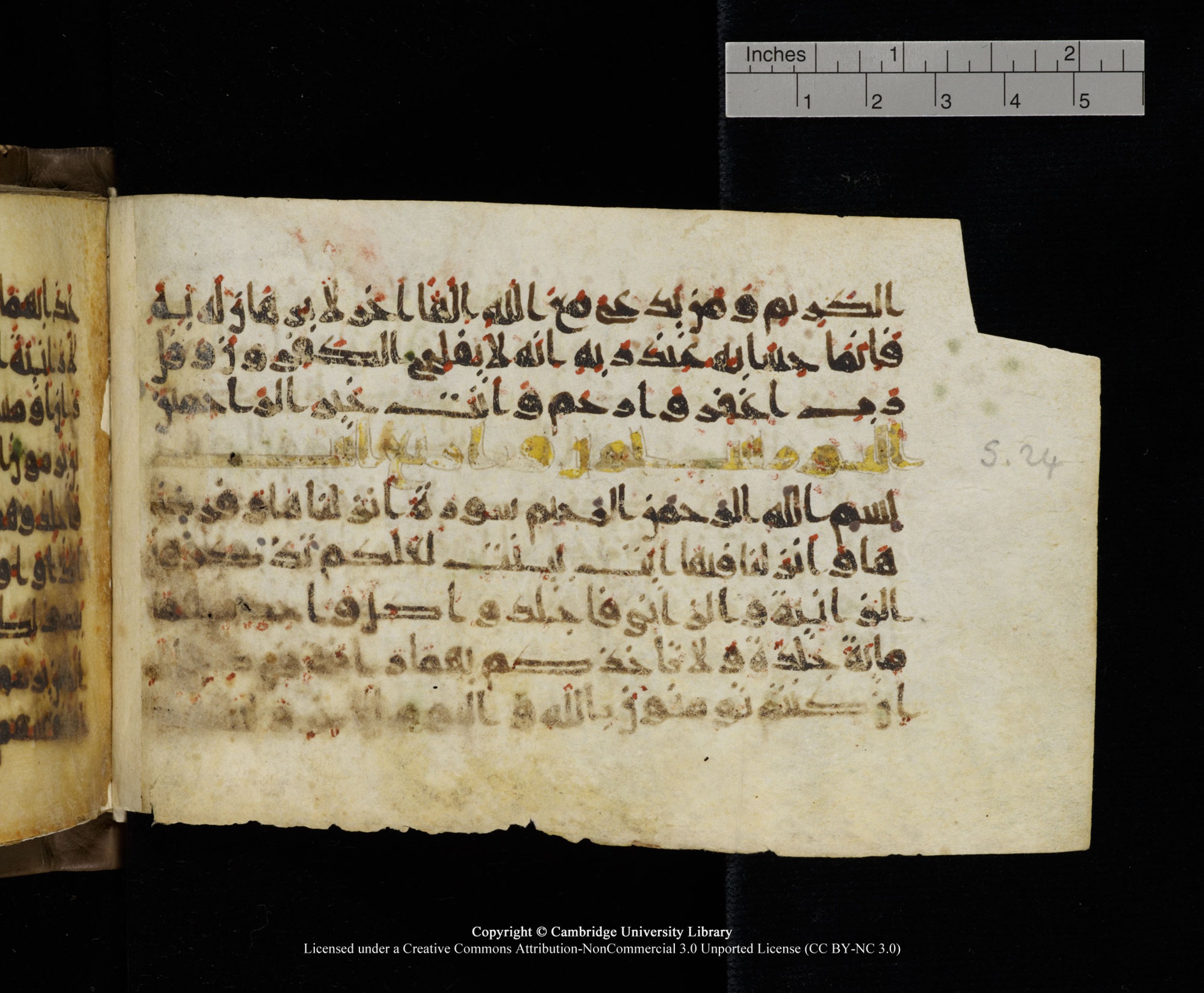 Cambridge MS Add.1137 (Scan 2), in kūfī E script, showing Surah 23:116 from 9th or 10th Century AD found in Sinai Peninsula, Egypt, currently housed at Cambridge University Library, Cambridge