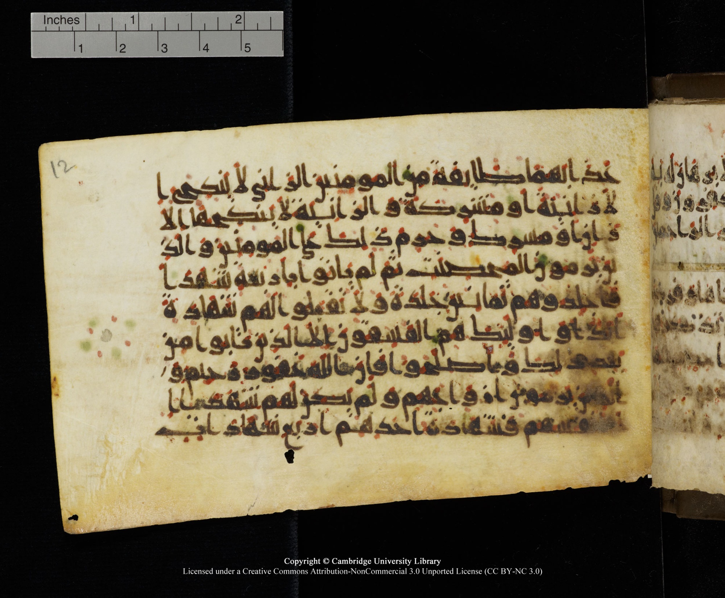 Cambridge MS Add.1137 (Scan 2), in kūfī E script, showing Surah 24:2 from 9th or 10th Century AD found in Sinai Peninsula, Egypt, currently housed at Cambridge University Library, Cambridge