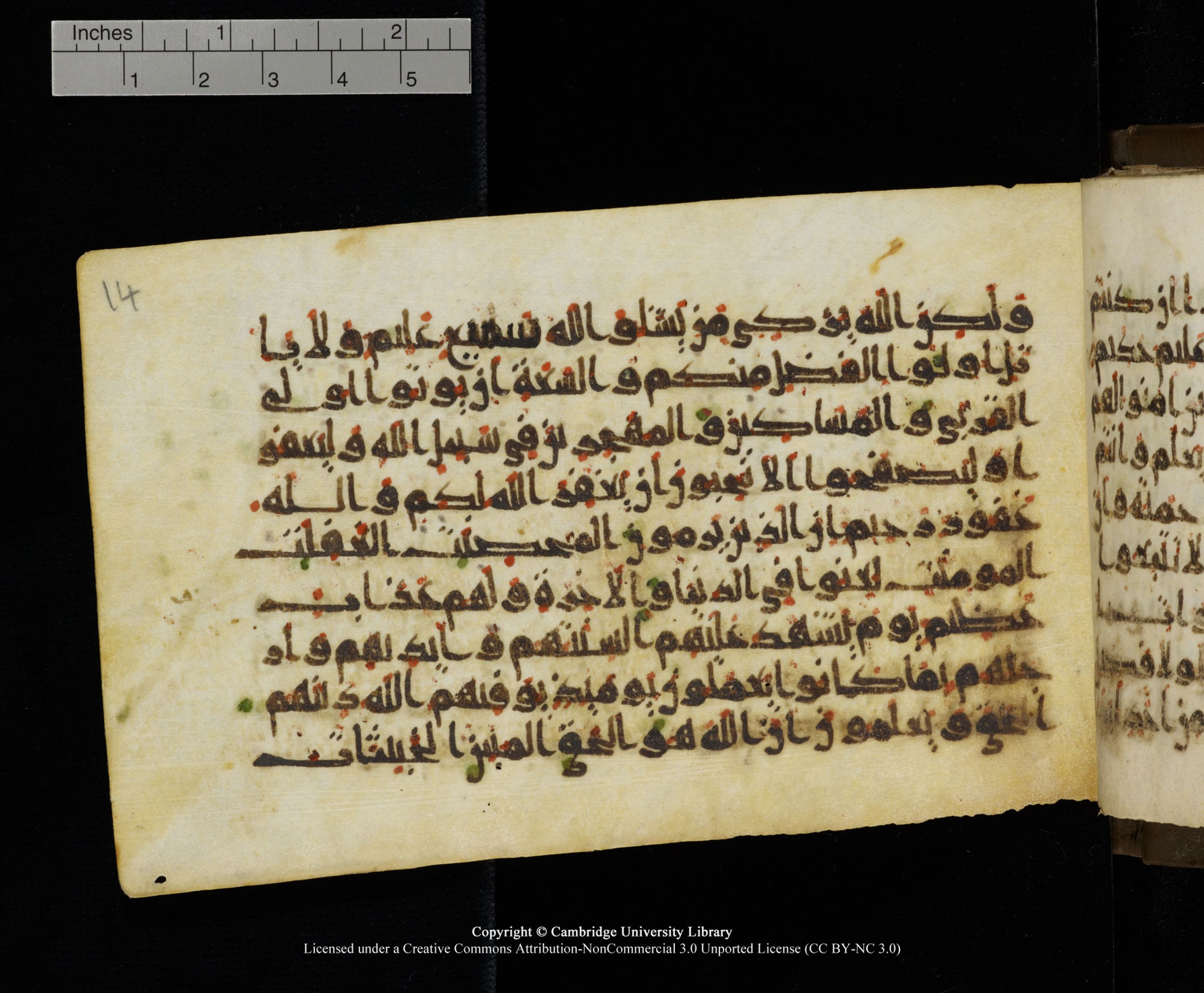 Cambridge MS Add.1137, in kūfī E script, showing Surah 24:22 from 9th or 10th Century AD found in Sinai Peninsula, Egypt, currently housed at Cambridge University Library, Cambridge