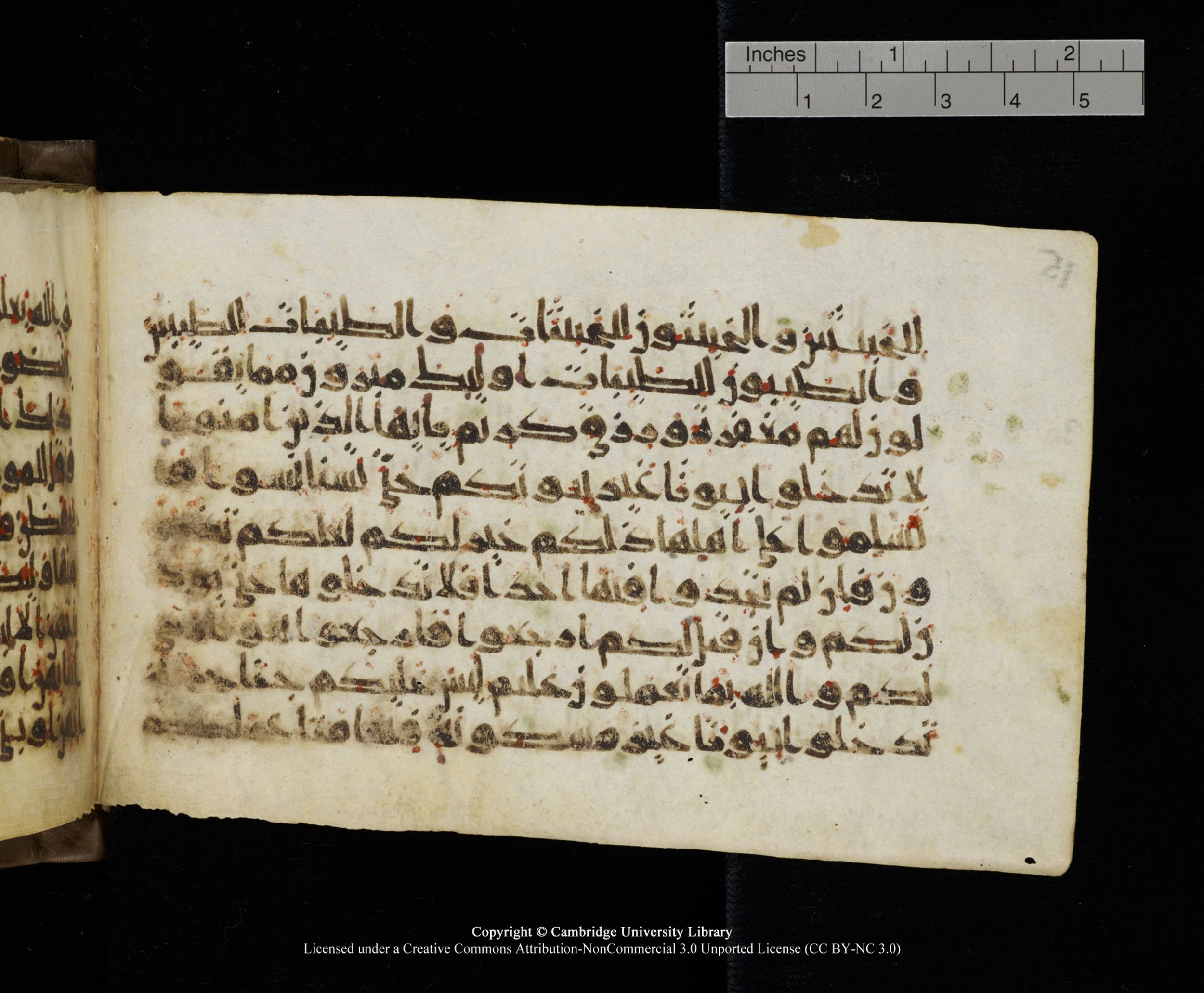 Cambridge MS Add.1137 (Scan 1), in kūfī E script, showing Surah 24:29 from 9th or 10th Century AD found in Sinai Peninsula, Egypt, currently housed at Cambridge University Library, Cambridge