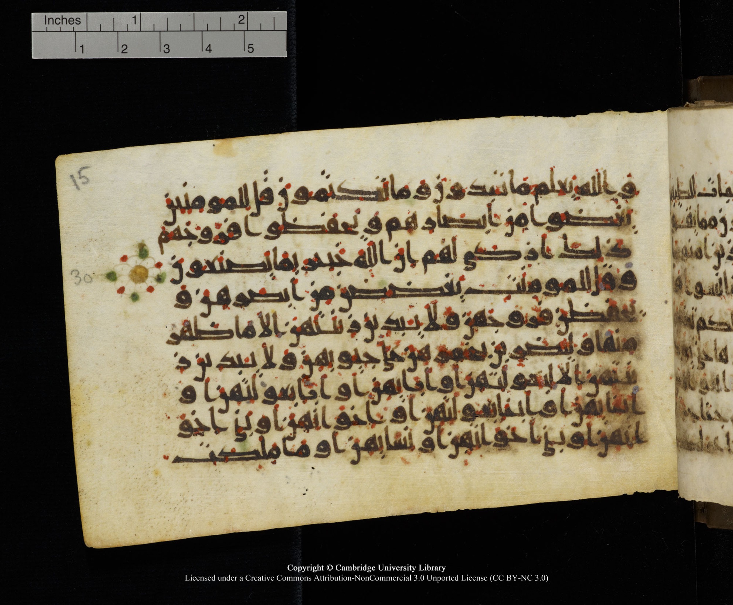 Cambridge MS Add.1137 (Scan 2), in kūfī E script, showing Surah 24:29 from 9th or 10th Century AD found in Sinai Peninsula, Egypt, currently housed at Cambridge University Library, Cambridge