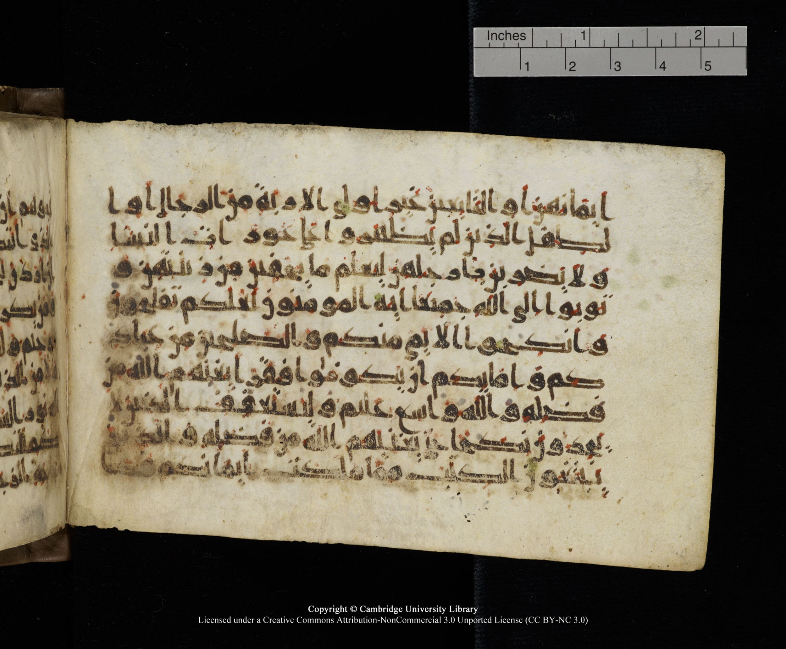Cambridge MS Add.1137, in kūfī E script, showing Surah 24:32 from 9th or 10th Century AD found in Sinai Peninsula, Egypt, currently housed at Cambridge University Library, Cambridge