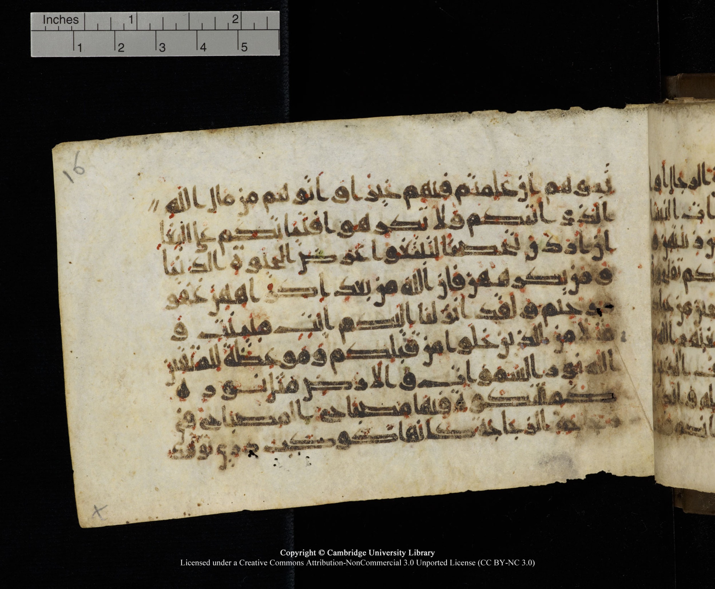 Cambridge MS Add.1137 (Scan 2), in kūfī E script, showing Surah 24:33 from 9th or 10th Century AD found in Sinai Peninsula, Egypt, currently housed at Cambridge University Library, Cambridge