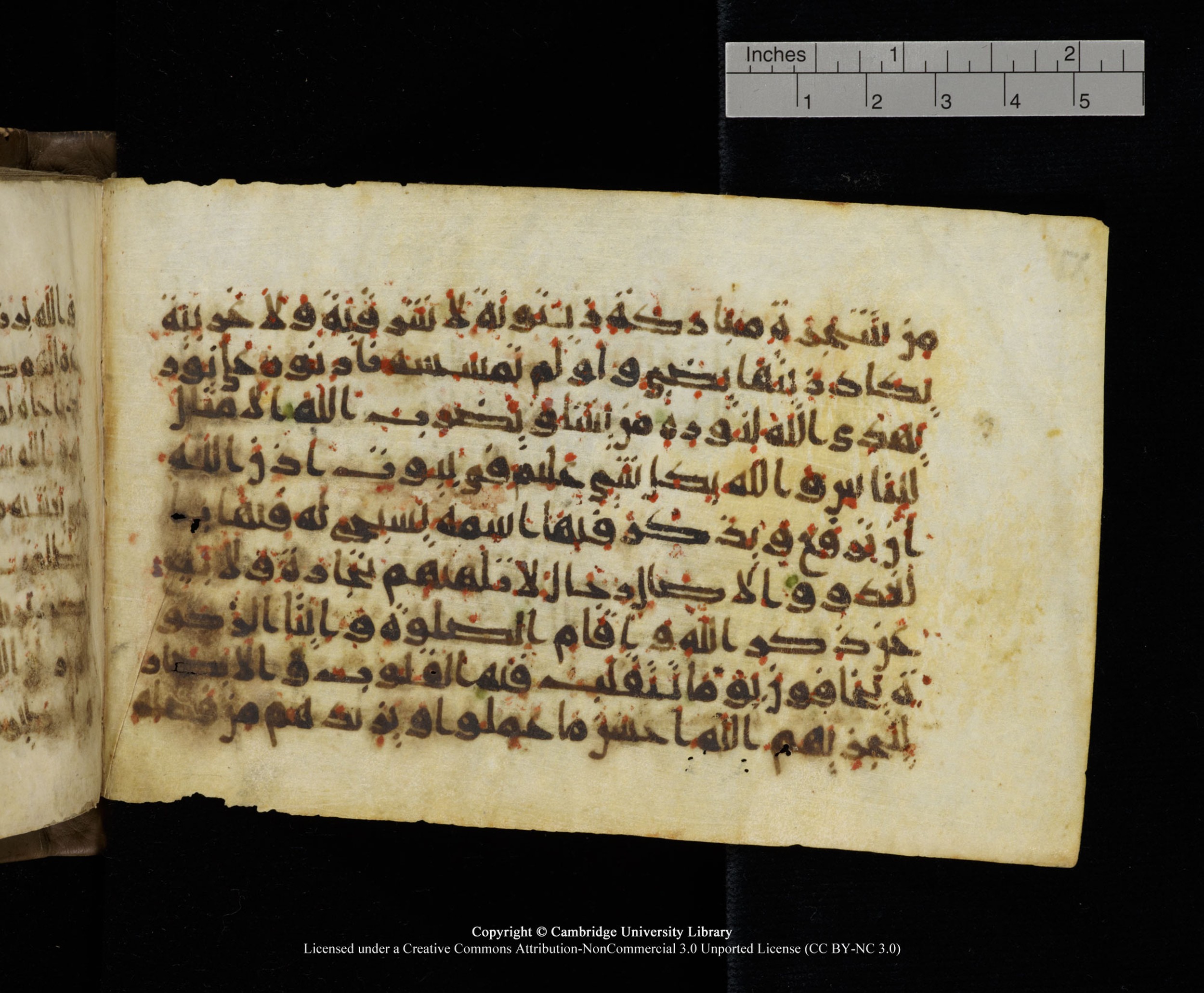 Cambridge MS Add.1137, in kūfī E script, showing Surah 24:36 from 9th or 10th Century AD found in Sinai Peninsula, Egypt, currently housed at Cambridge University Library, Cambridge