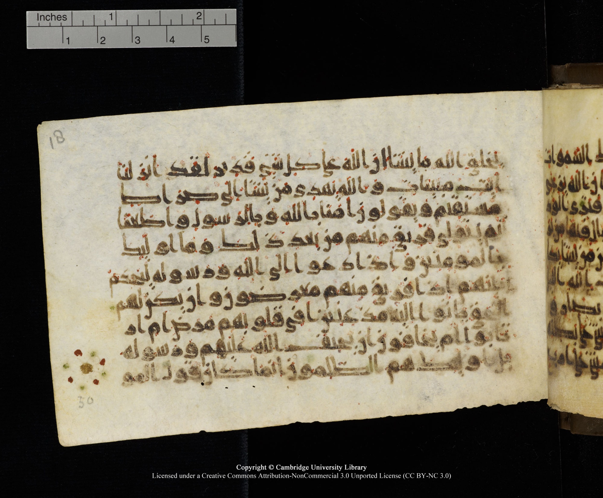 Cambridge MS Add.1137, in kūfī E script, showing Surah 24:49 from 9th or 10th Century AD found in Sinai Peninsula, Egypt, currently housed at Cambridge University Library, Cambridge