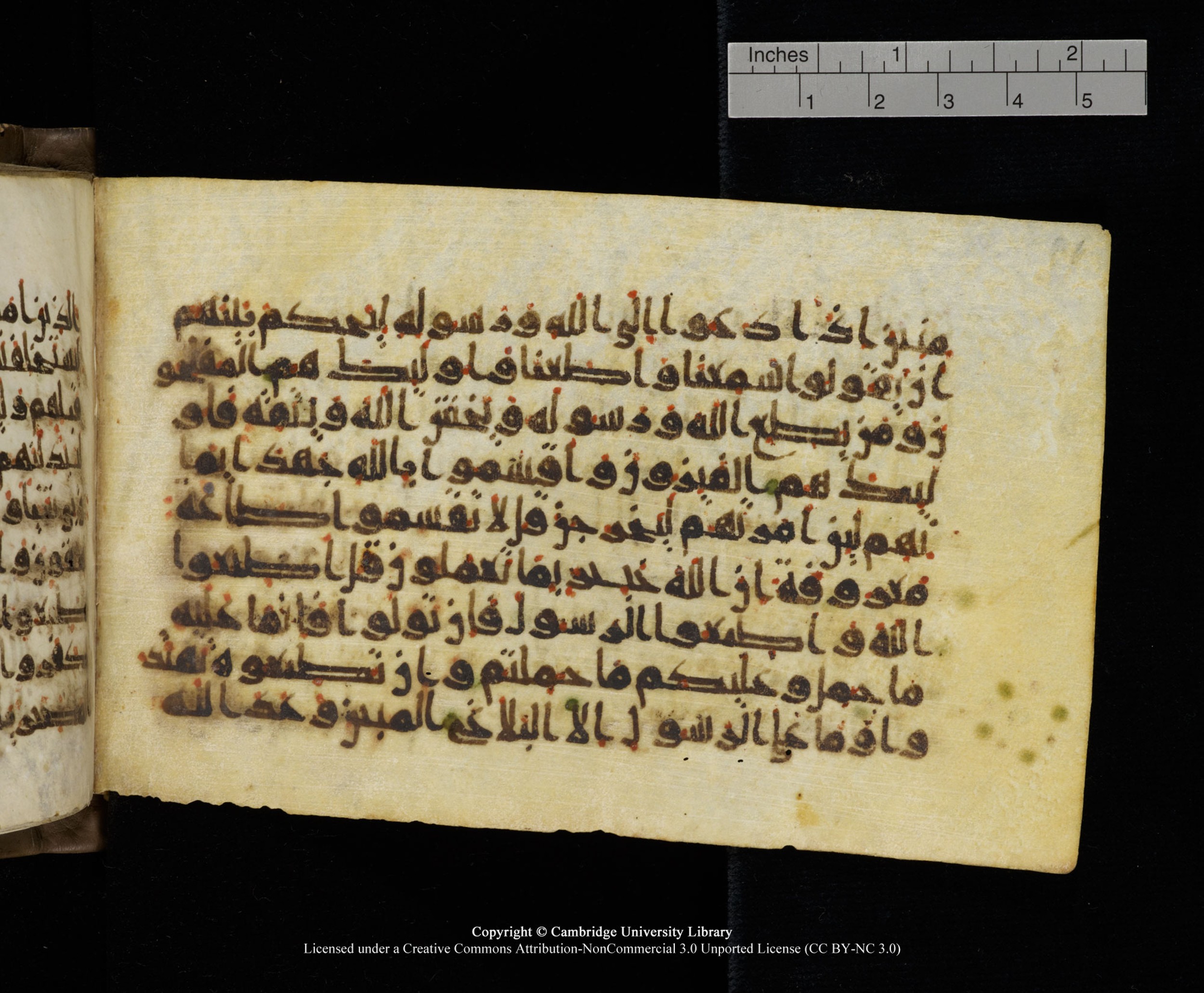 Cambridge MS Add.1137, in kūfī E script, showing Surah 24:52 from 9th or 10th Century AD found in Sinai Peninsula, Egypt, currently housed at Cambridge University Library, Cambridge