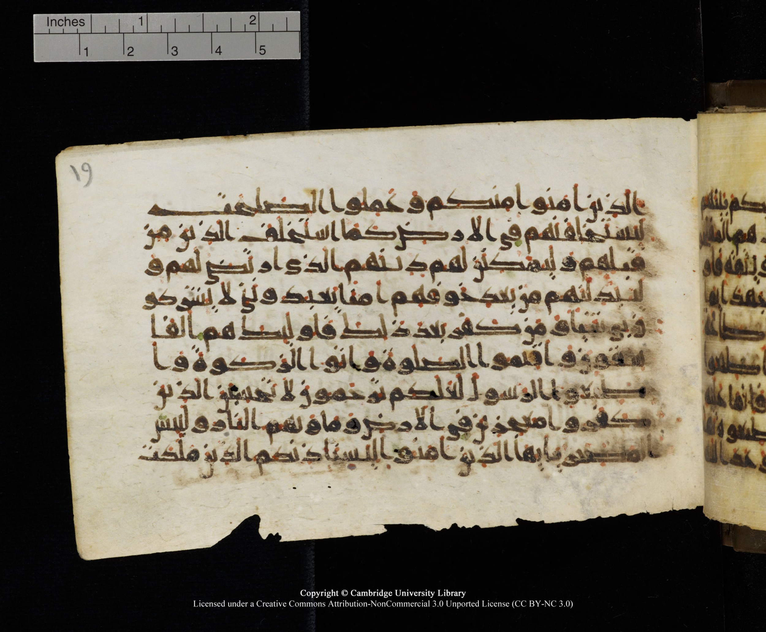 Cambridge MS Add.1137 (Scan 2), in kūfī E script, showing Surah 24:55 from 9th or 10th Century AD found in Sinai Peninsula, Egypt, currently housed at Cambridge University Library, Cambridge