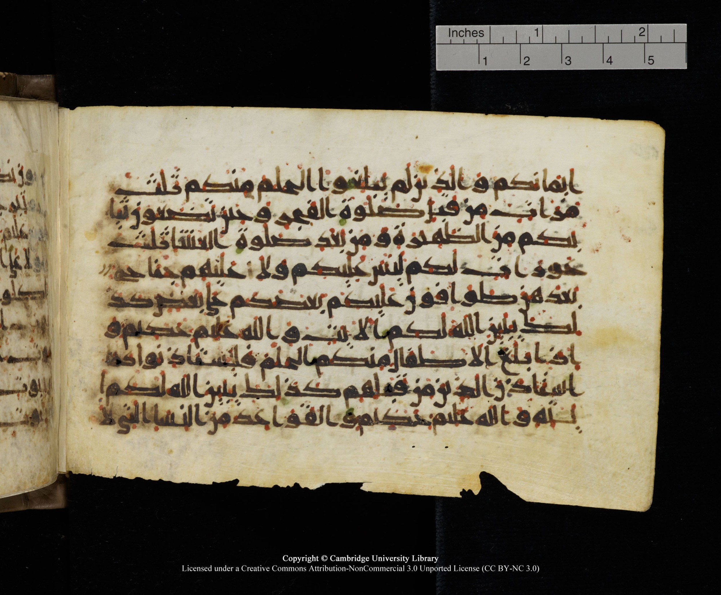 Cambridge MS Add.1137, in kūfī E script, showing Surah 24:59 from 9th or 10th Century AD found in Sinai Peninsula, Egypt, currently housed at Cambridge University Library, Cambridge