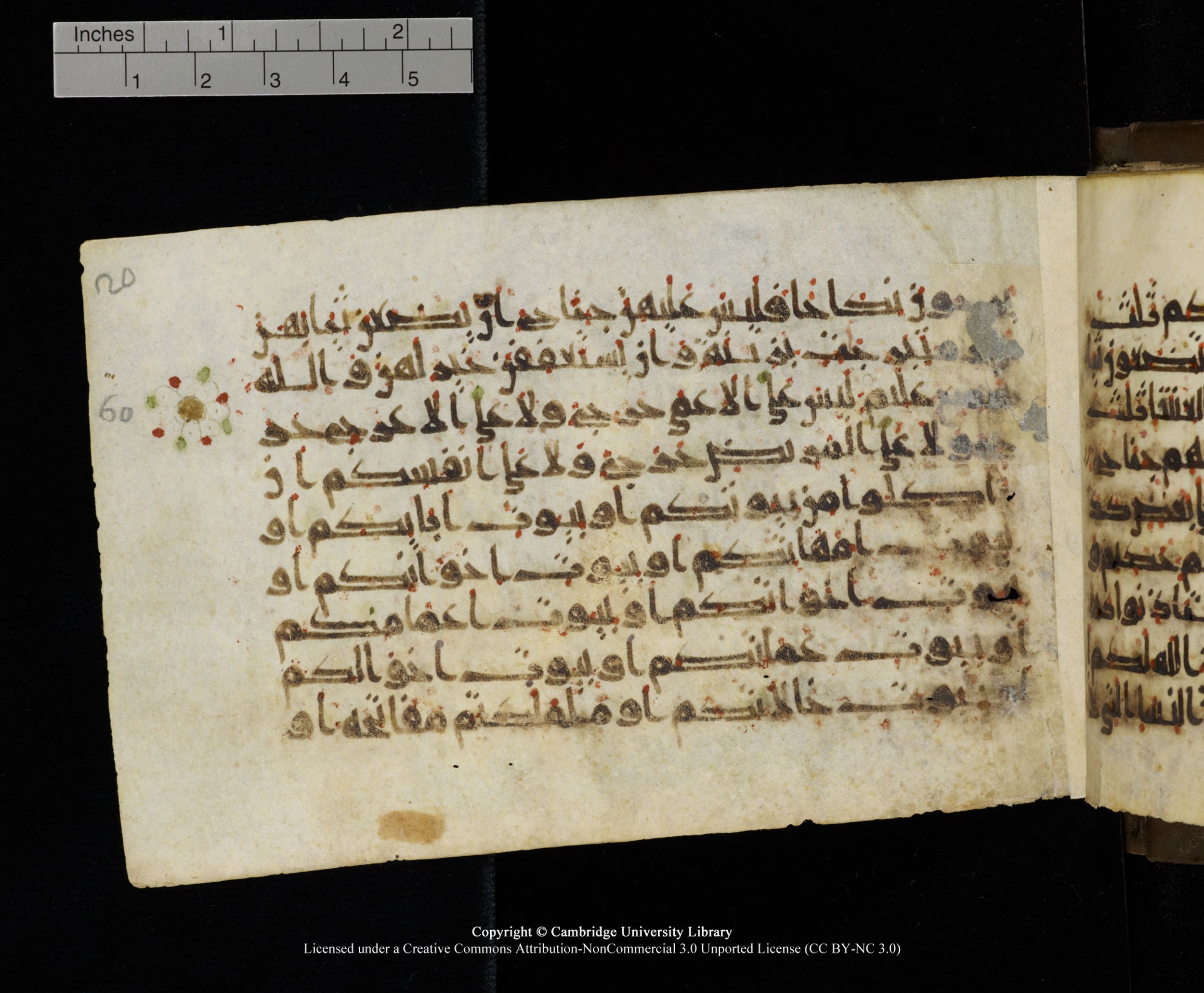 Cambridge MS Add.1137 (Scan 1), in kūfī E script, showing Surah 24:61 from 9th or 10th Century AD found in Sinai Peninsula, Egypt, currently housed at Cambridge University Library, Cambridge